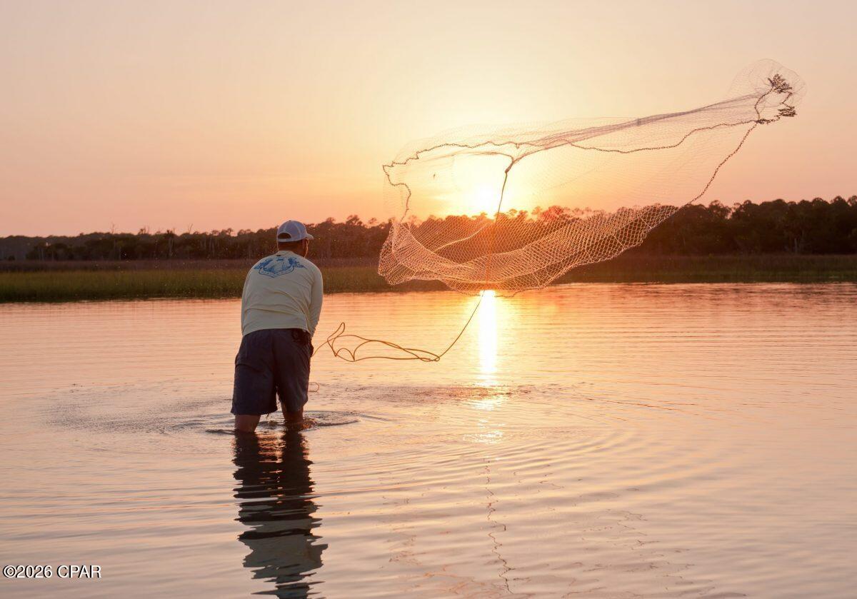 Cape Isle Preserve - Land