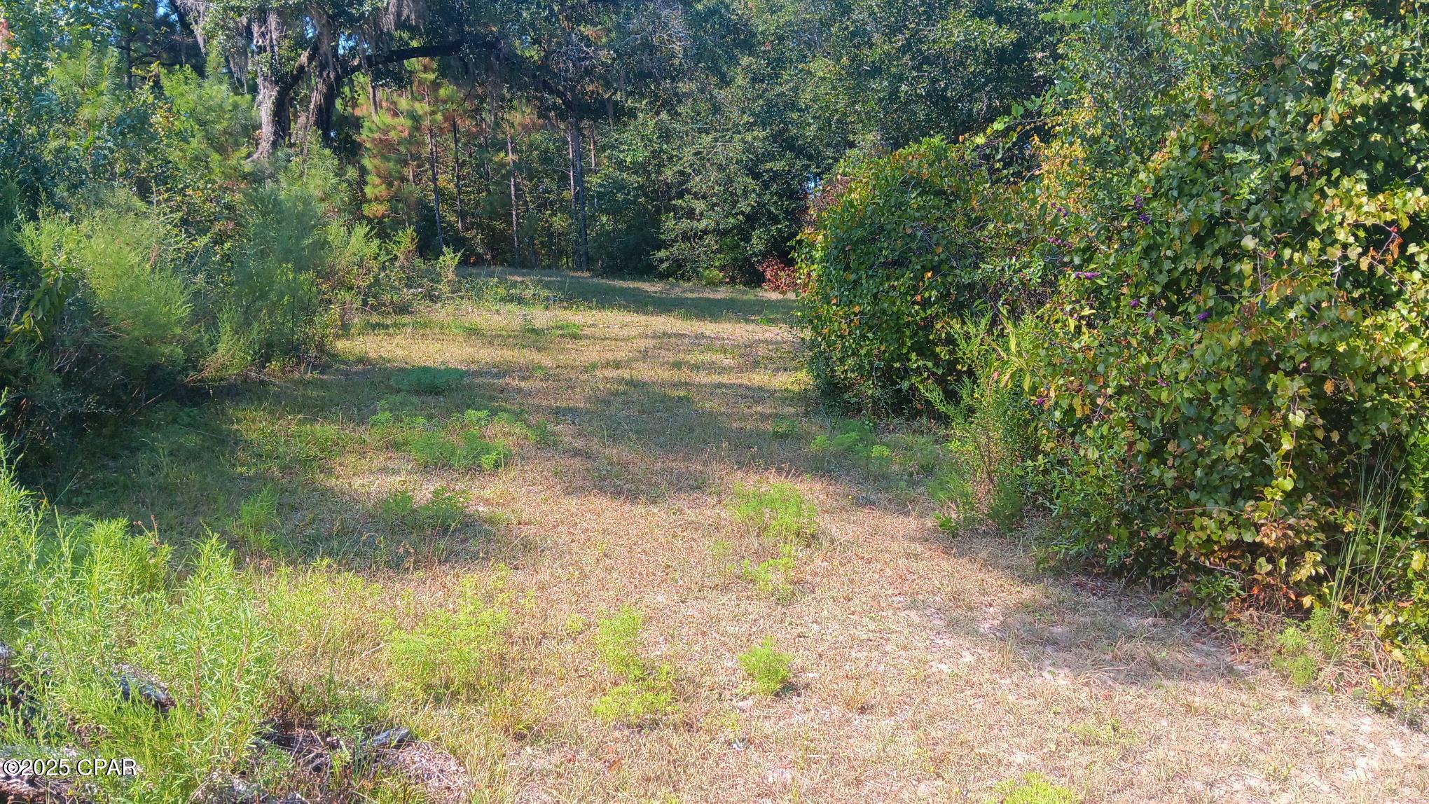 Other - Land