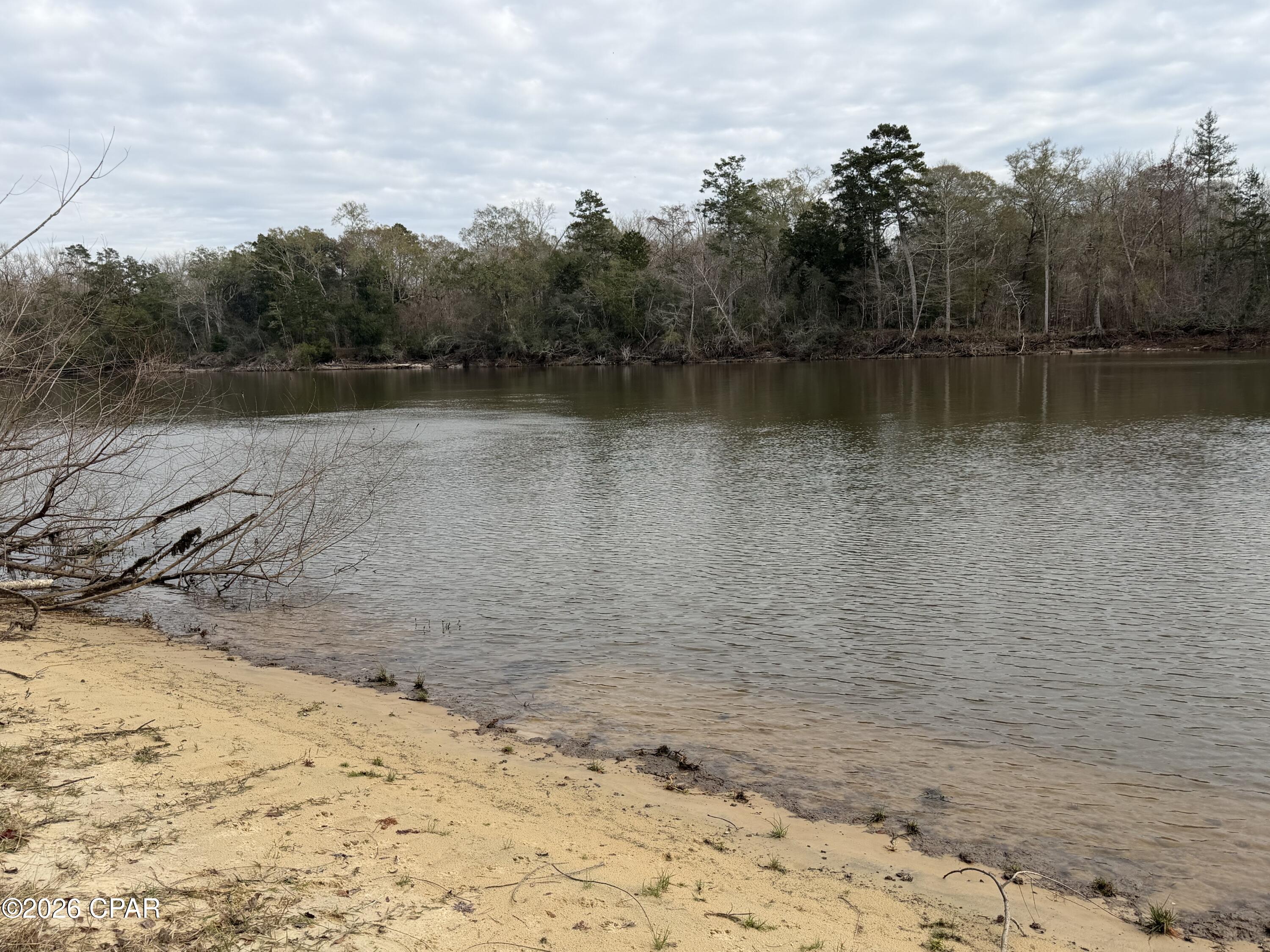 Riverfront Property on the Choctawhatchee River!  1/2 mile from the Ebro boat ramp and the park adjacent to it.   This land needs to be cleared to build.  Wetlands have been mapped out by an engineer and survey is available.