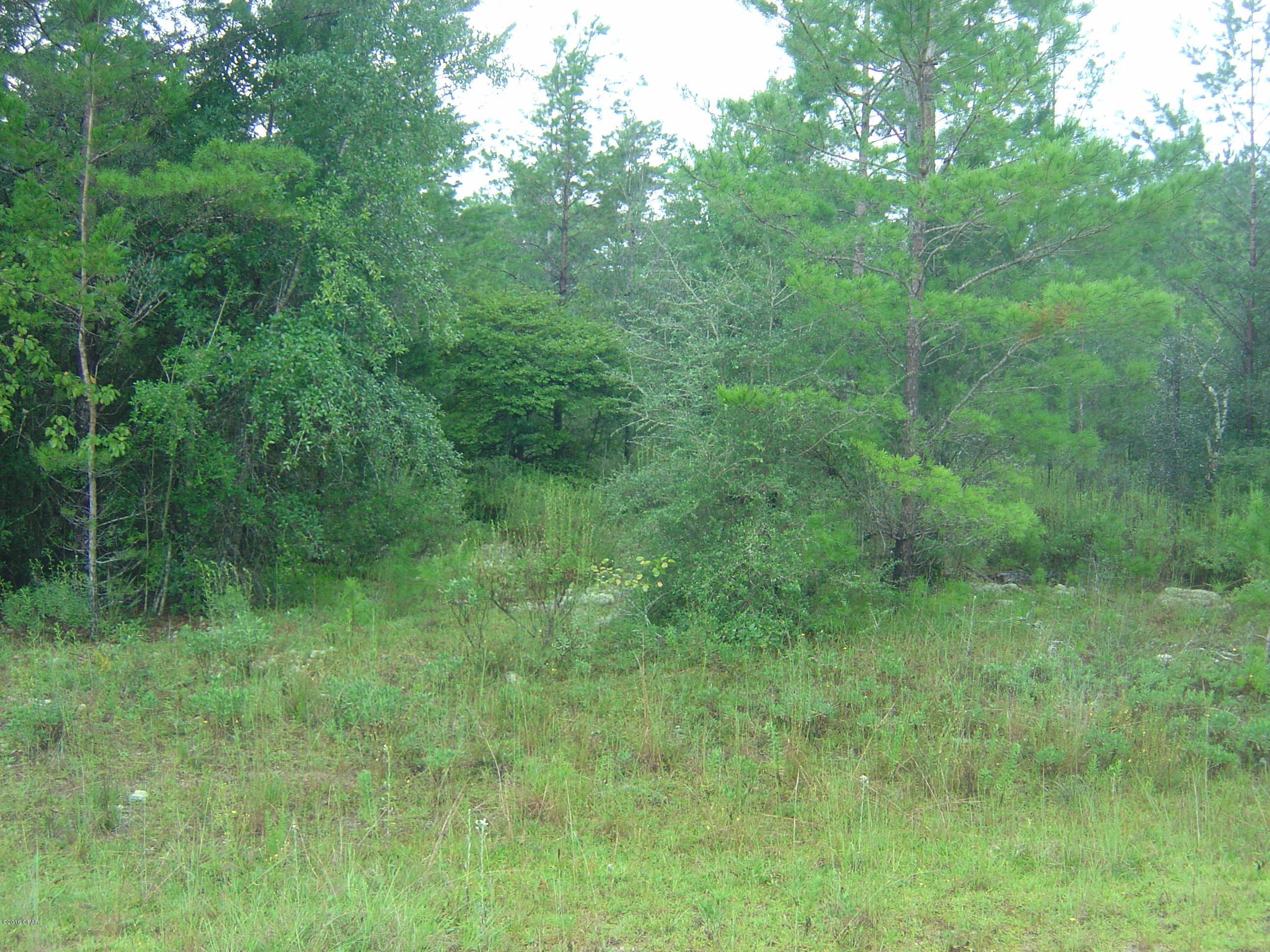 Compass Lake Hills Unit 5 - Land