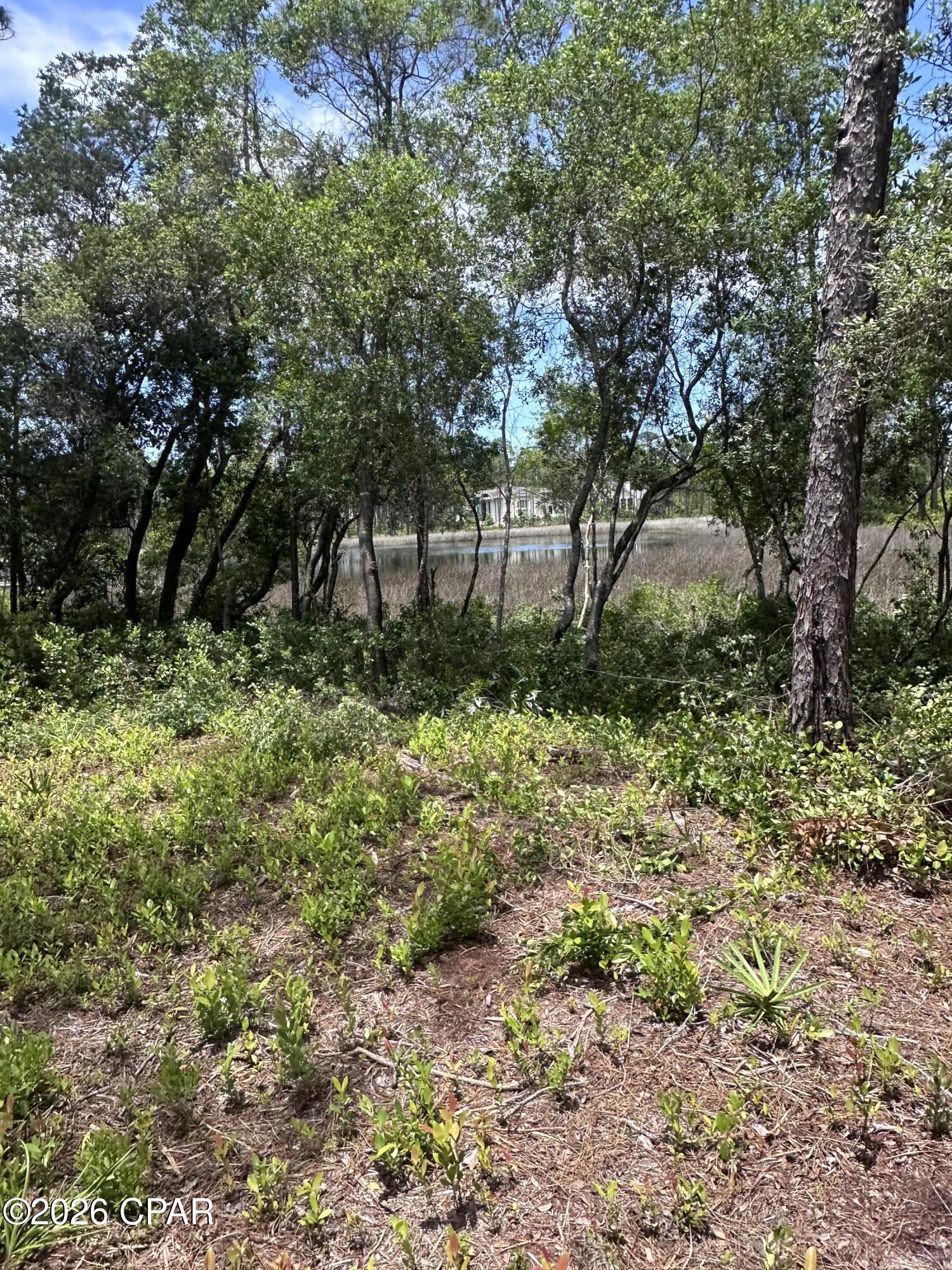 Wild Heron Phase I - Land