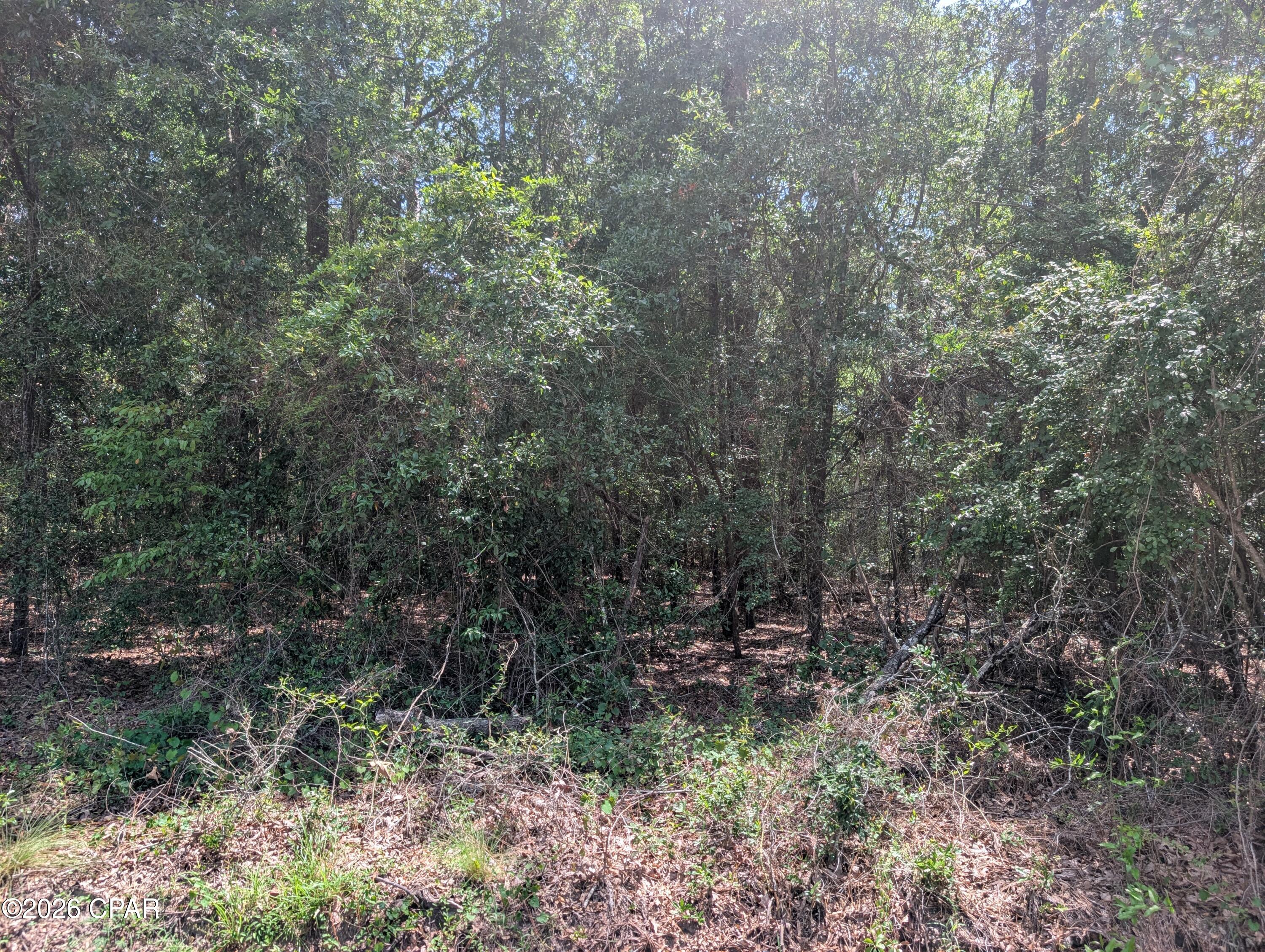 Dogwood Lake Estates - Land