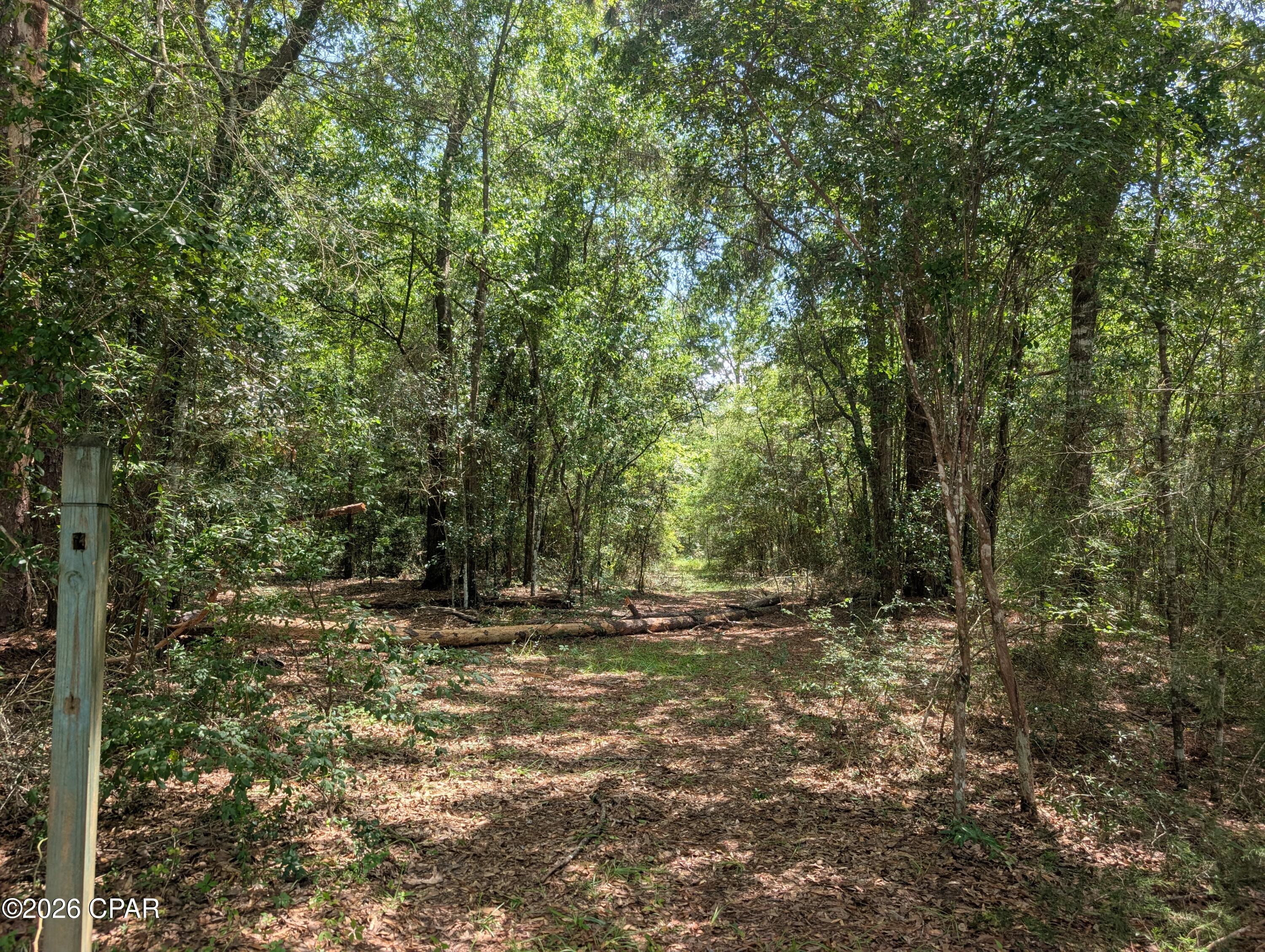 Dogwood Lake Estates - Land