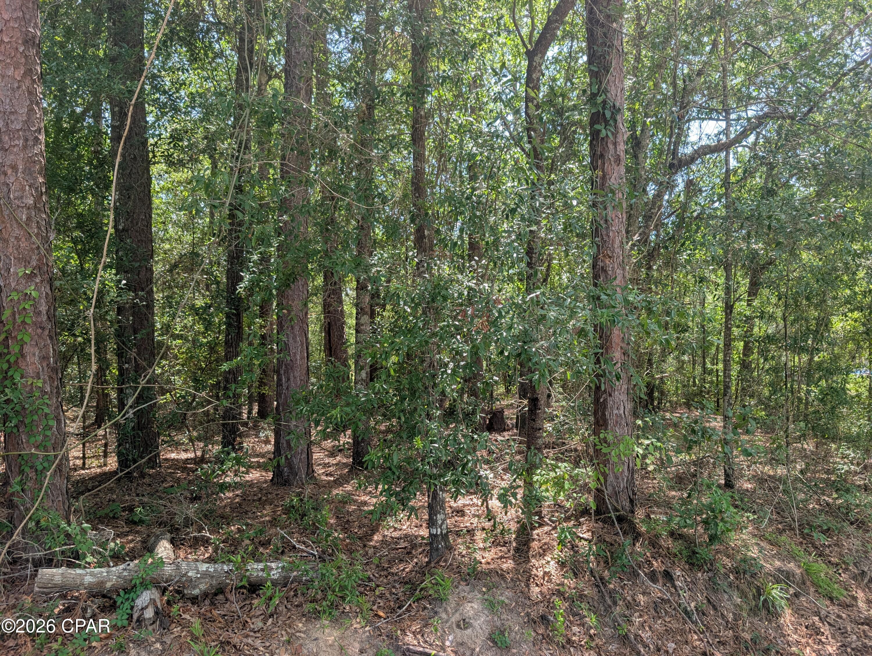 Dogwood Lake Estates - Land
