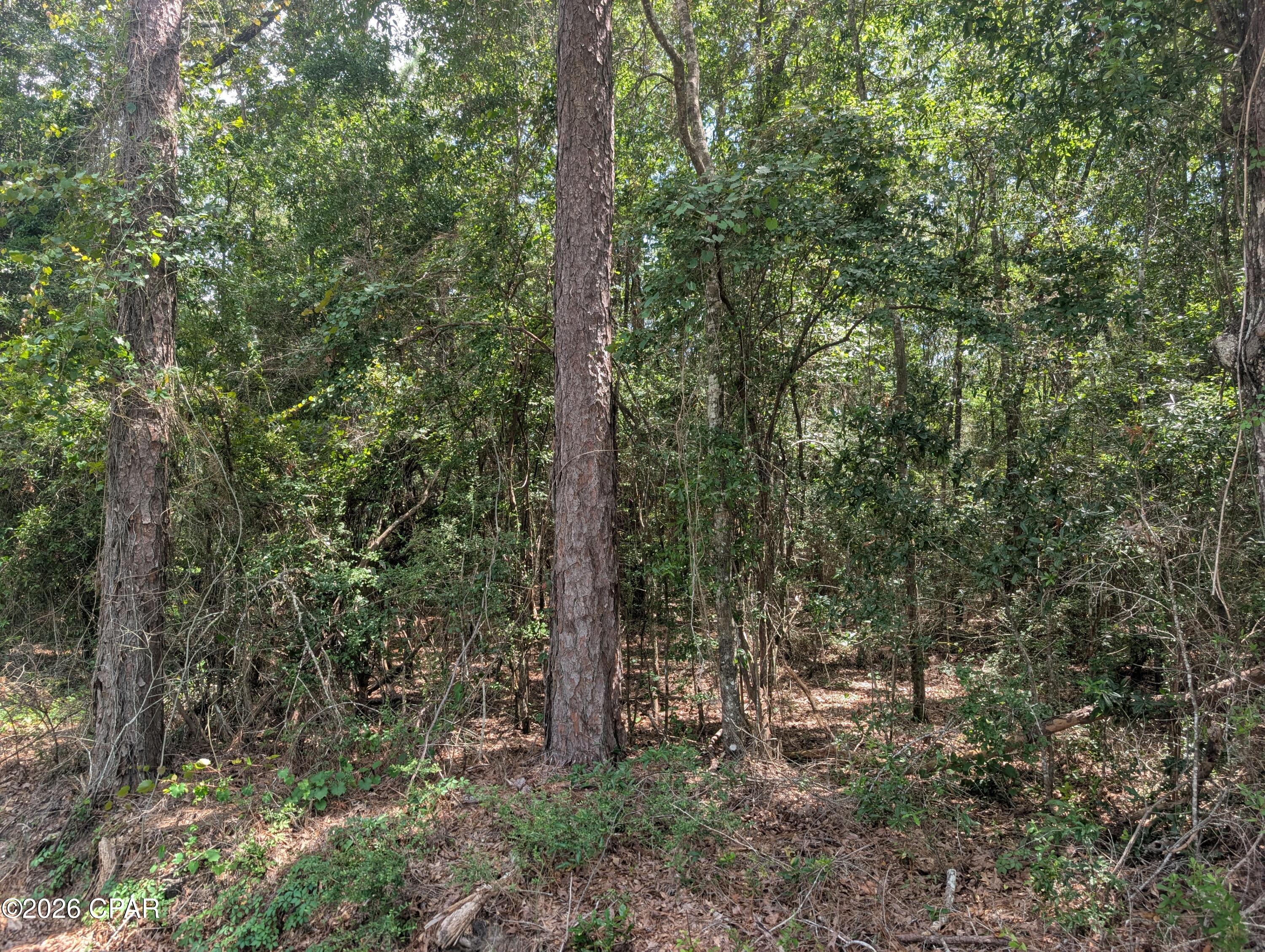 Dogwood Lake Estates - Land