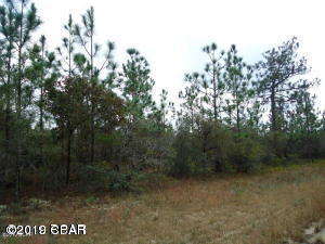 Looking for a great place to build your home. Quiet country setting. Enjoy all the ammenities if Sunny Hills. Fishing, Swimming and a great golf course.
