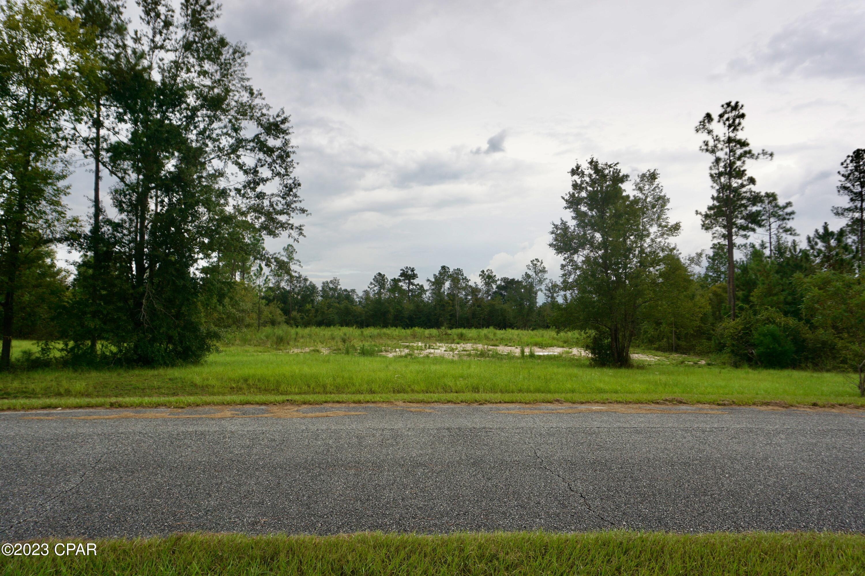 Nestled in the heart of desirable Blue Spring Plantation, this 2.38-acre vacant residential property is a canvas awaiting your dream home masterpiece. Boasting a peaceful and picturesque setting, this generously-sized lot has been meticulously cleared and leveled, presenting you with a blank slate to bring your vision to life. Enjoy the convenience of nearby amenities, including shopping centers, schools, parks, and recreational facilities. This property is located a short distance from beautiful Blue Springs, Merritts Mill Pond, and Lake Seminole. This community offers paved roads and underground utilities. The lot has been professionally cleared and leveled, saving you time and effort in the construction process. Lot 47.