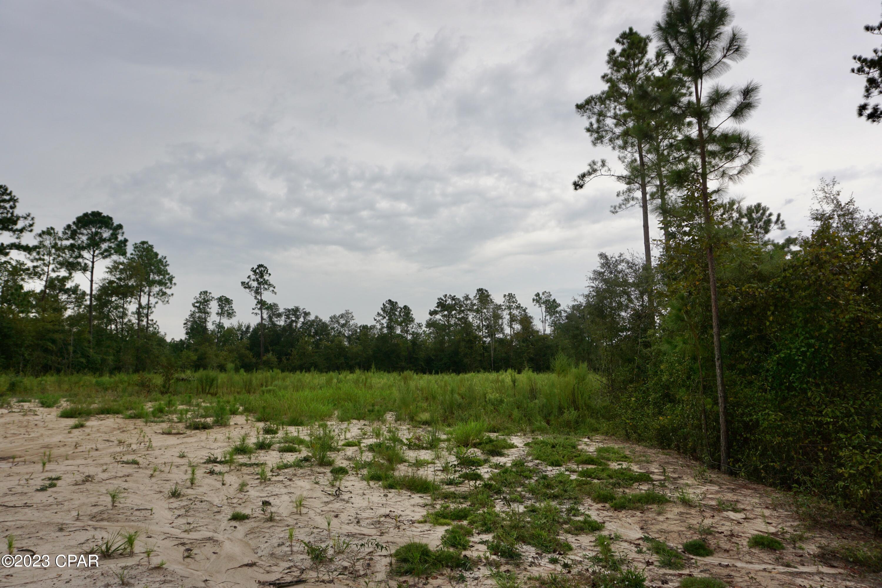 Blue Springs Plantation - Land