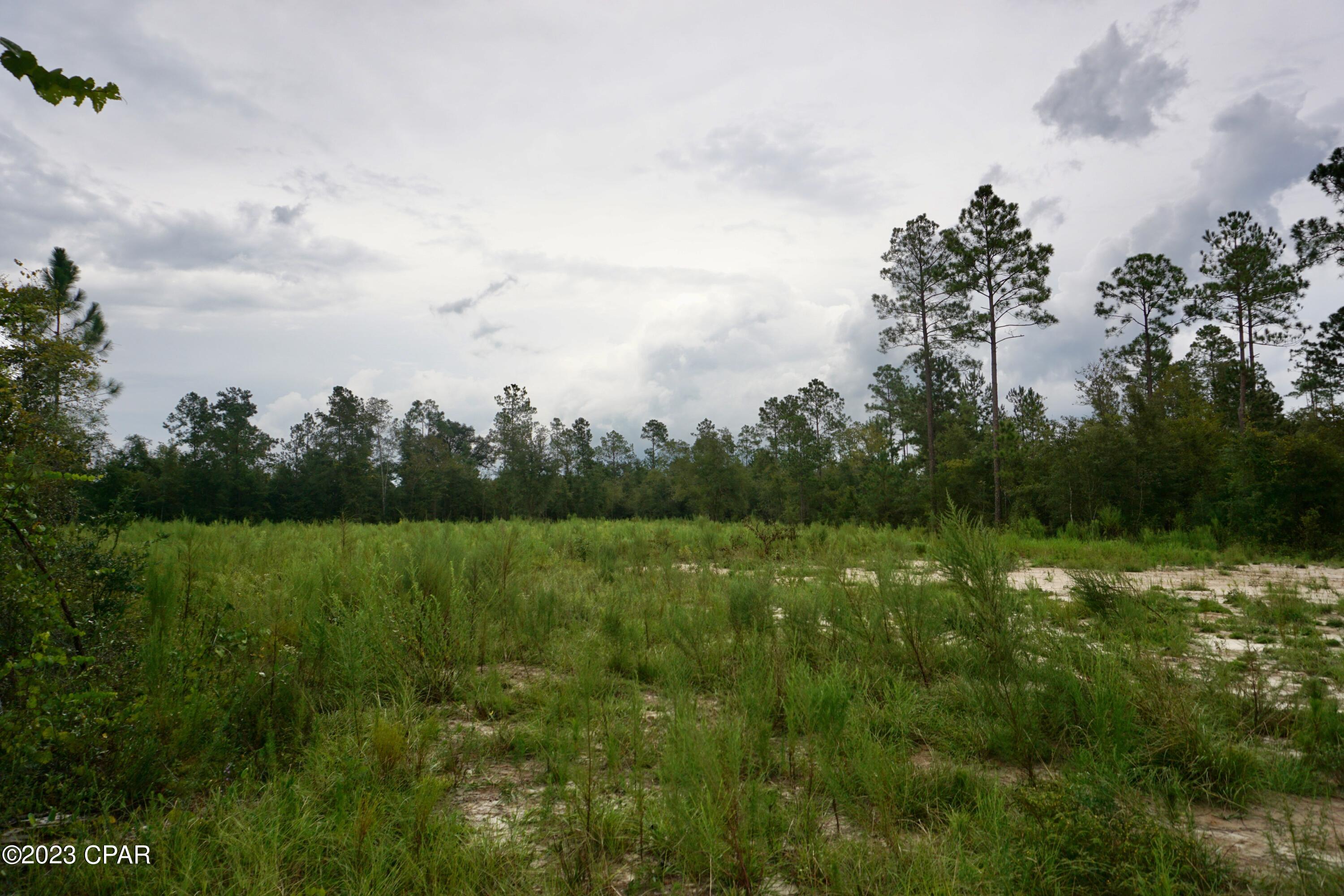 Blue Springs Plantation - Land