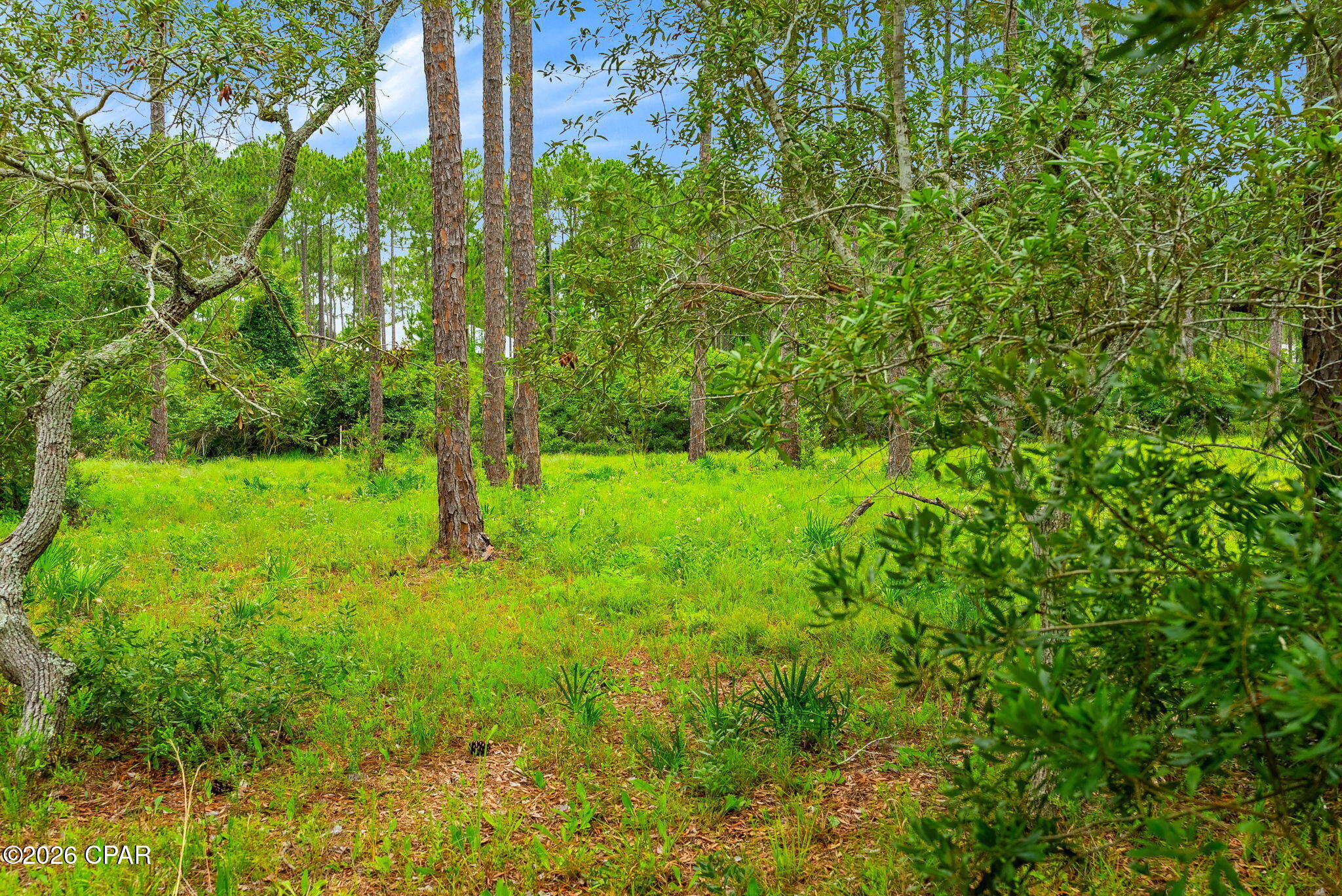 Rivercamps On Crooked Creek - Residential