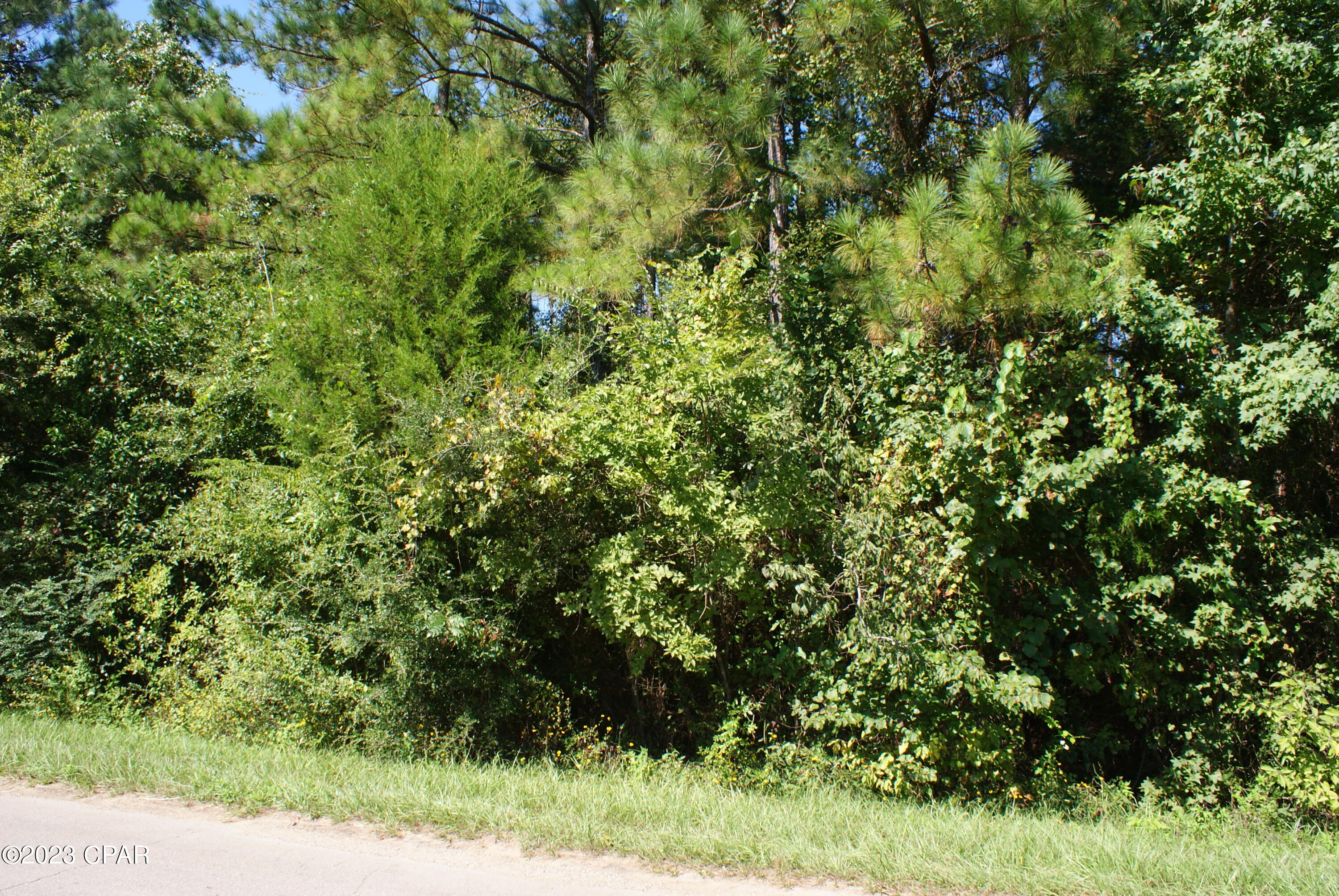 Cottondale - Land