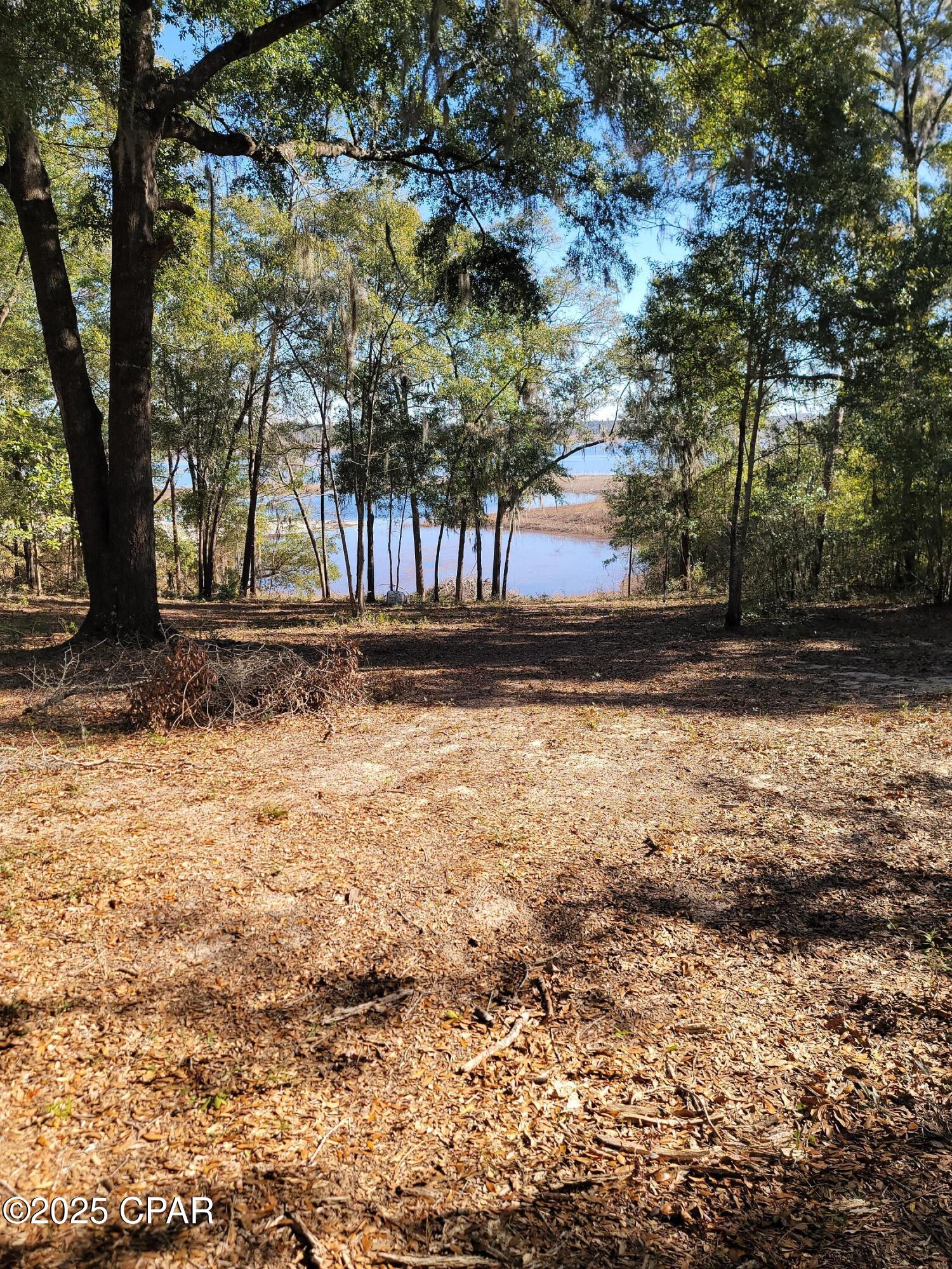 Woodland Meadows - Land
