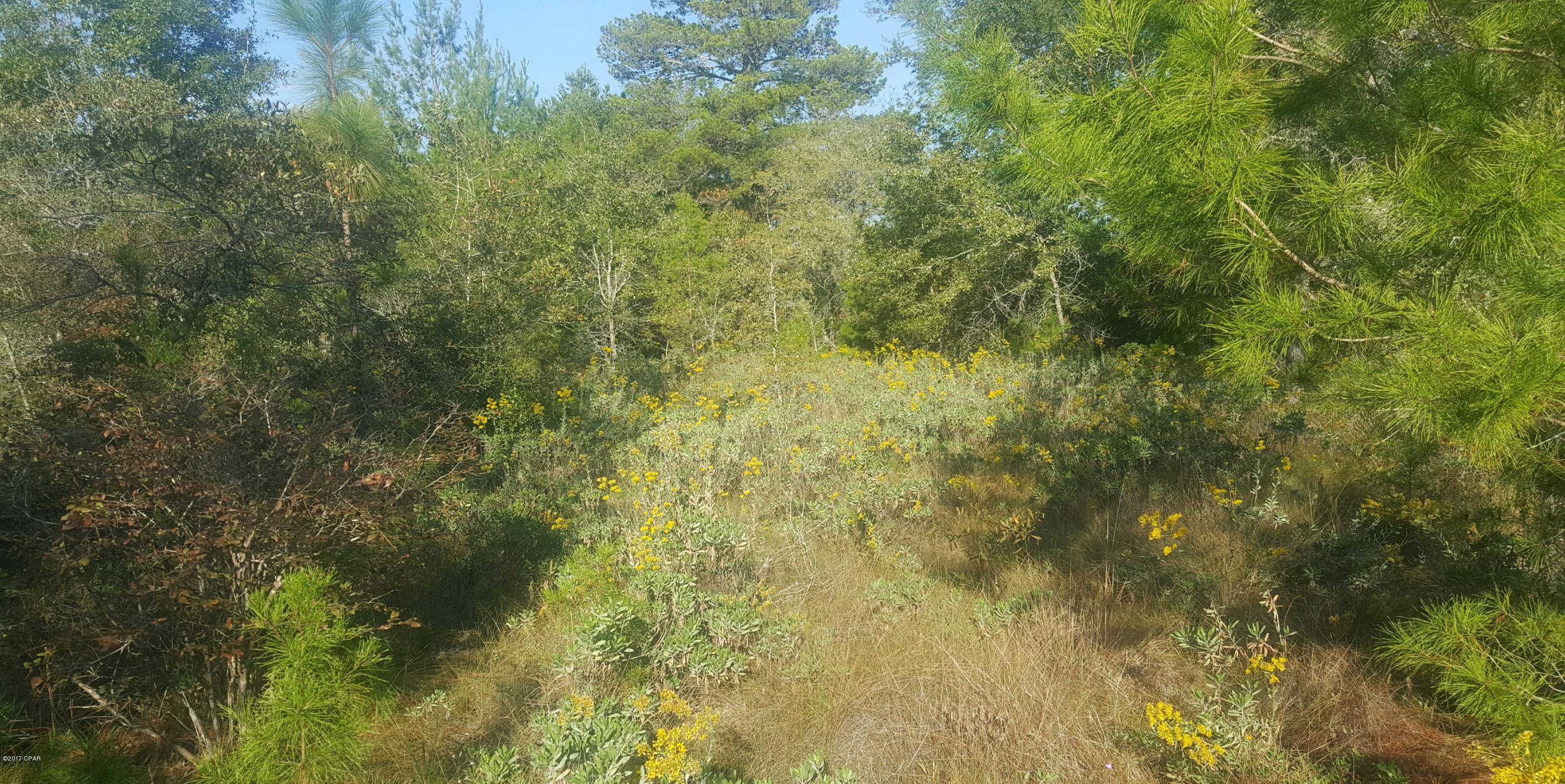 Sunny Hills - Land