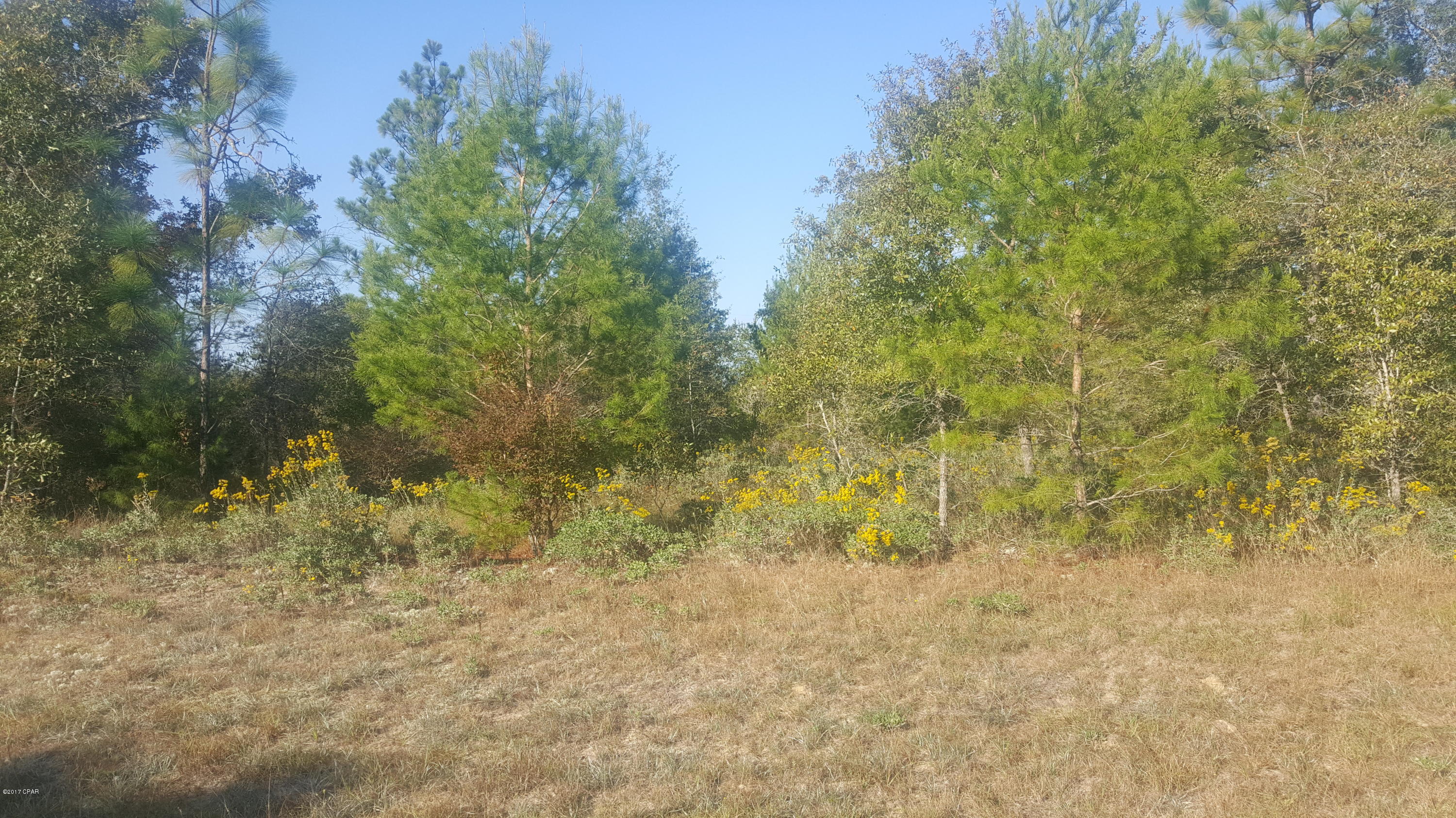 Sunny Hills - Land