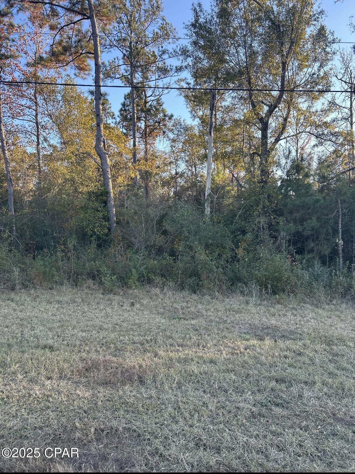 Discover the perfect blend of privacy and convenience on this 4.37± acre wooded homesite, ideally located just off Highway 90 on the peaceful outskirts of Marianna. Sitting high and dry, this beautifully timbered parcel offers a serene natural setting while still keeping you close to town amenities, schools, shopping, and major travel routes.
Access to the property is provided by a legal easement from Highway 90, giving you both seclusion and straightforward entry. With ample room to design your ideal layout, you can clear the portion you choose and build the dream home you've always imagined--whether you envision a cozy cabin tucked among the trees or a spacious modern retreat. Seller financing available.