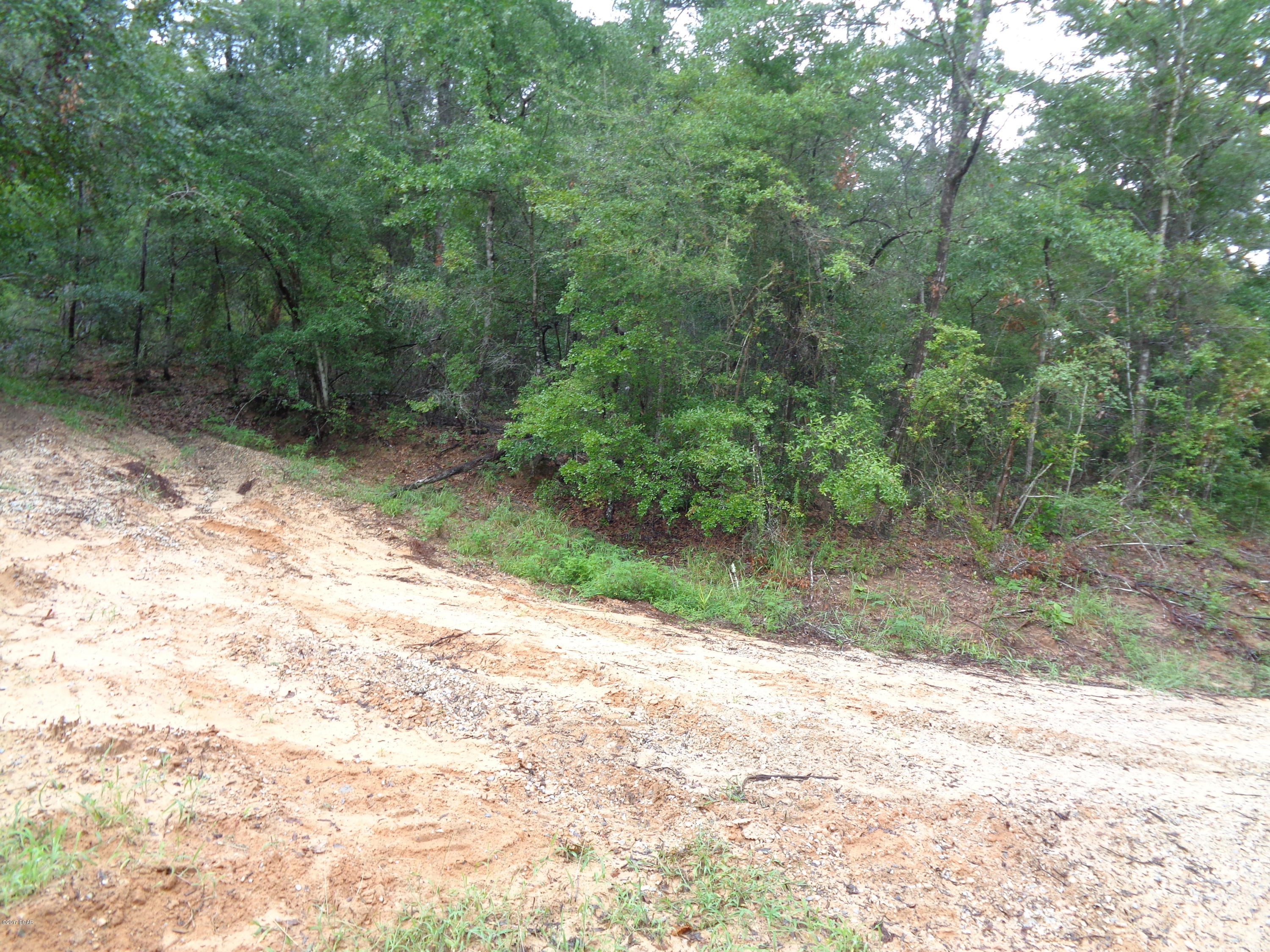 Great hunting tract. Priced to sell.Lots of wild life in this area.Close to Lucas Lake .Will need 4 wheel drive to get to property.