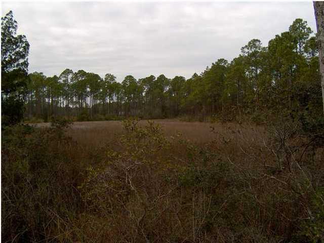 Laird Bayou - Land