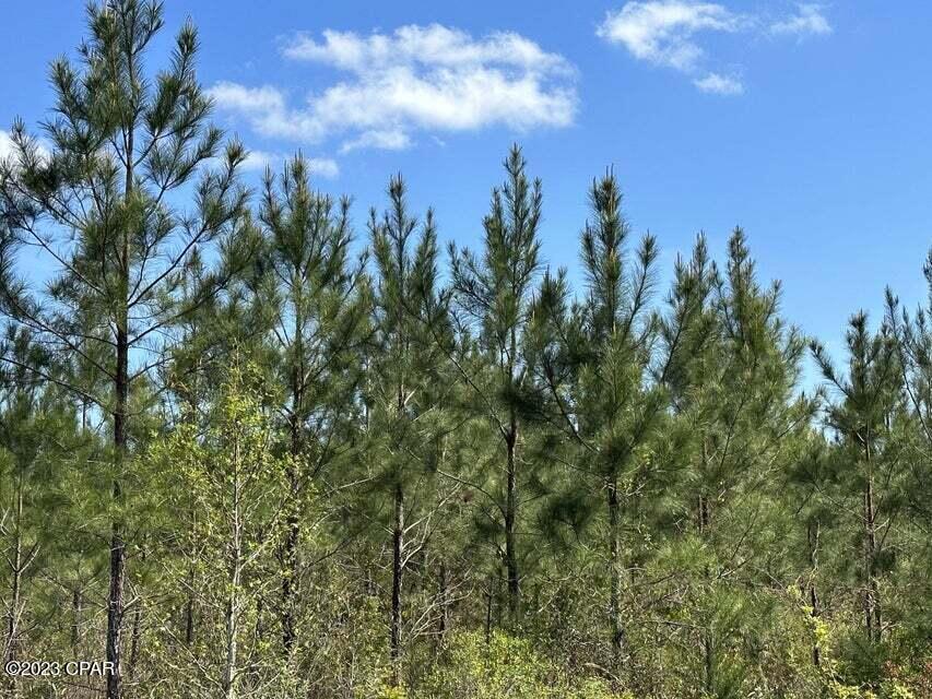 Dream Location for Country Living or Hunters Paradise either way you won't want to miss this opportunity! This Beautiful 18 +/- Acres of prime land has so much to offer, Power is available. Turkey season coming soon! Bring your build plans, hunting gear, Horses and ATVS LOCATION LOCATION!!!! This Property has Easy Access to Panama City Beaches I-10, Hwy 79, Hwy 81, and Hwy 90