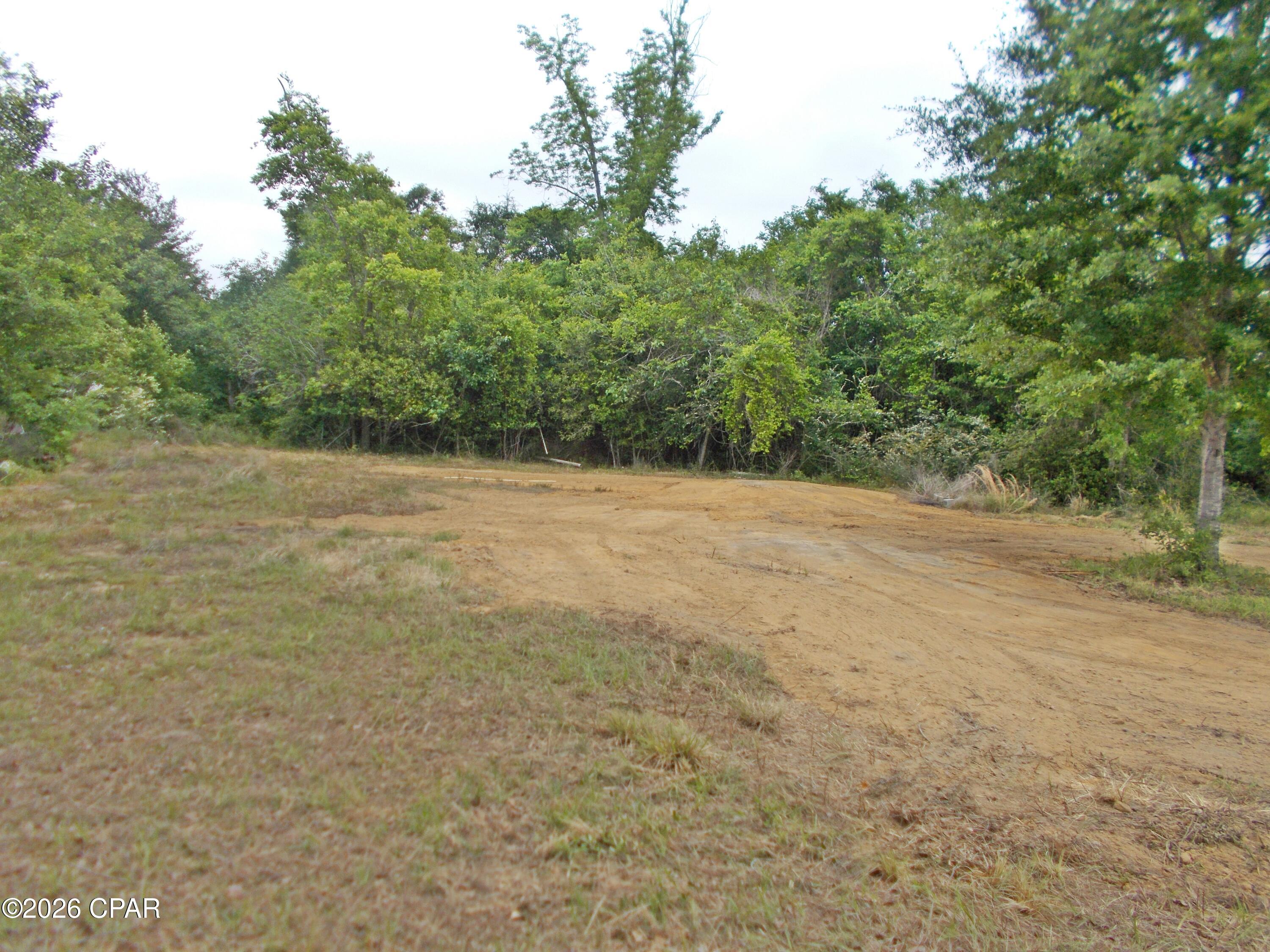 Very pretty level 5 ac some cleared with a submergible deep well appx 250 ft deep according to seller. septic does not work per owner. There was a mobile home there at one time. Paved road  nice place  for a home and a cleared area for a garden. the seller said he has a survey. No restrictions