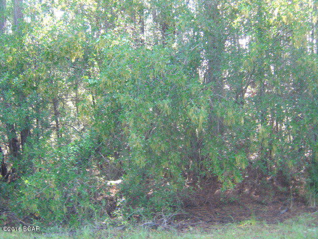 Compass Lake In The Hills - Land
