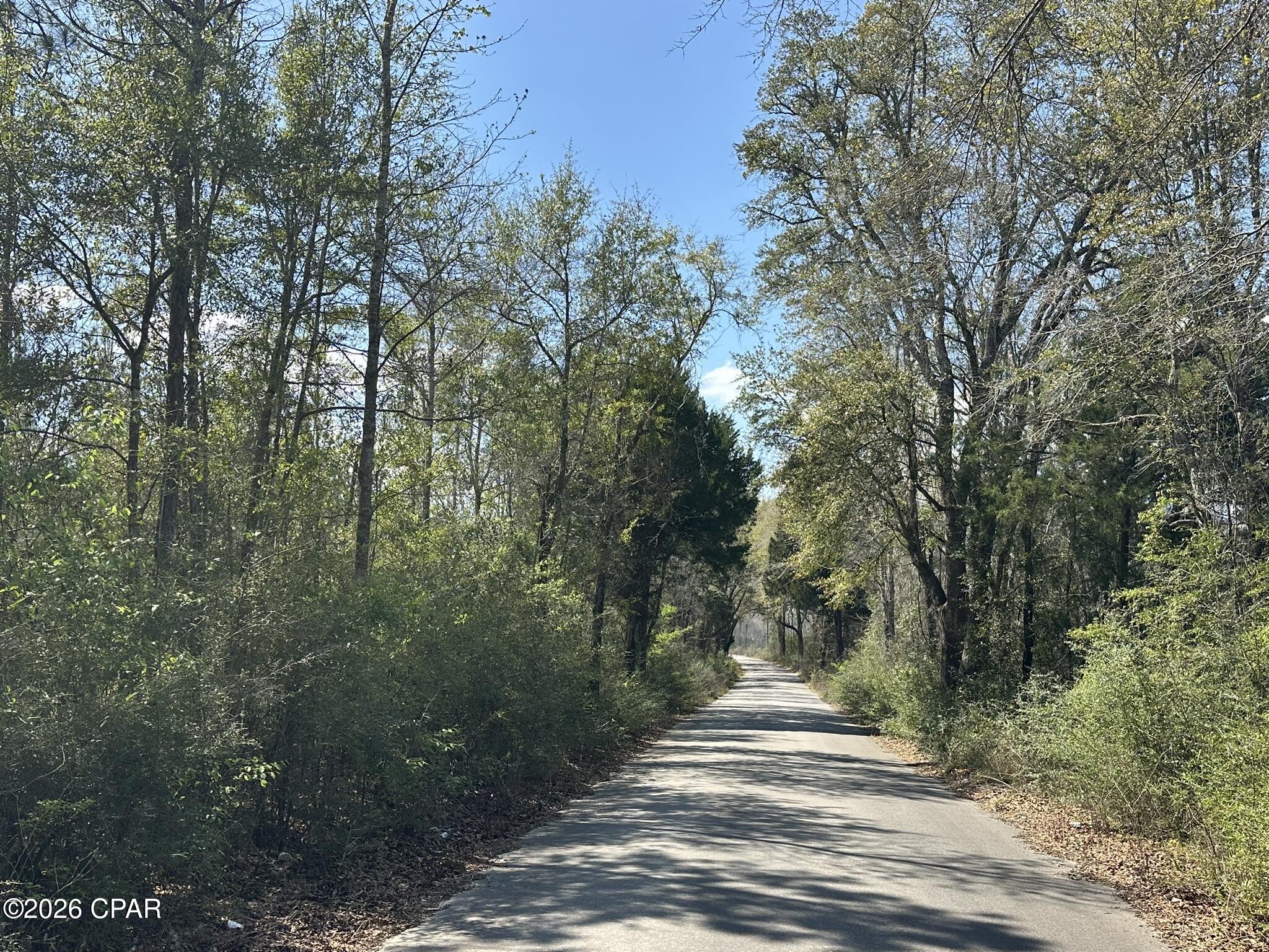 Dream Location for Hunters Paradise either way you won't want to miss this opportunity! This Beautiful 40 +/- Acres of prime land has so much to offer. Bring your hunting gear, Horses, and ATVS LOCATION LOCATION!!!! This Property has Easy Access to Panama City Beaches I-10, Hwy 79, Hwy 81, and Hwy 90.  DEED RESTRICTIONS. SEE DOCUMENTS