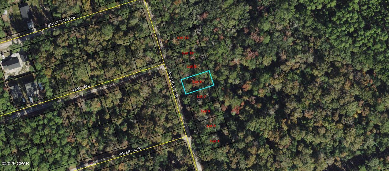 Vacant lot available on Fig Tree Ln in Crawfordville. Great opportunity for builders or investors in a growing area. Convenient and peaceful location just a short drive to the coast. Note: This listing is for one lot. A total of eight adjoining lots are available for purchase.

Buyer to verify all measurements, lot dimensions, and any information deemed important.