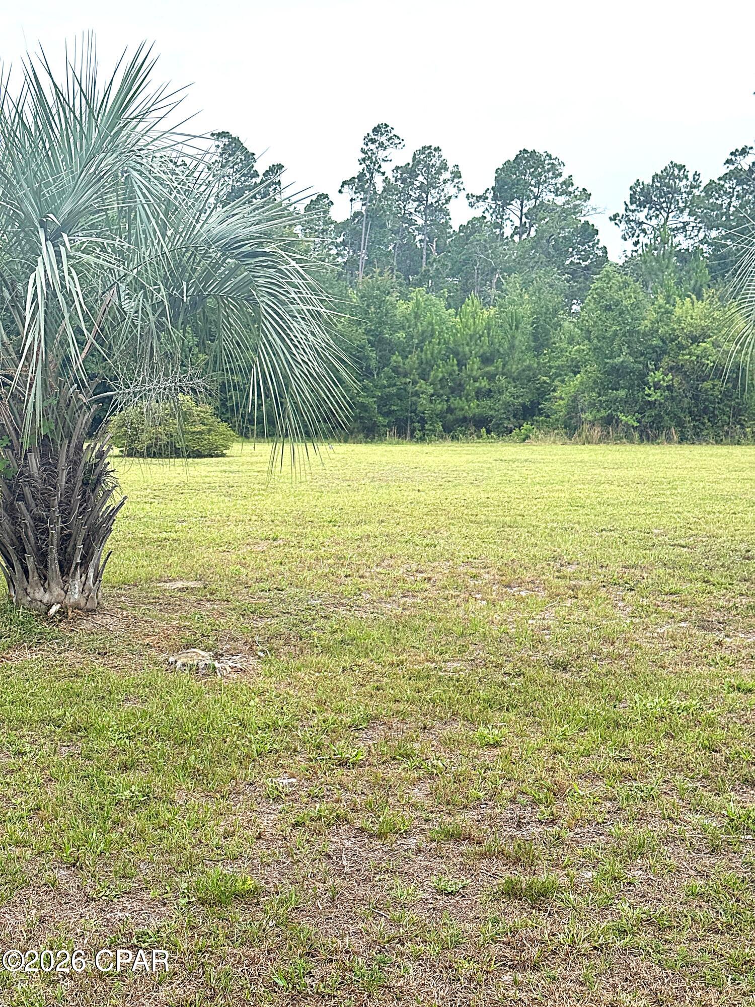 Site ready oversized 1/2 acre plus lots that are golf cart accessible to town, only an easy 3000' distance from St Joseph Bay. NO HOA, X Flood Zone on a major portion of the lot, high and dry with established grass, paved dead end street with no through traffic, water, sewer, electric, propane available and RV compliant. Lot is 3 to 5 times the size of comparable area lots and are priced below market. Lot is a portion of parcel ID # 06223-000R subject to division per the attached rendering. Some information was obtained via the Gulf County Property Appraisers Office, please verify if important.