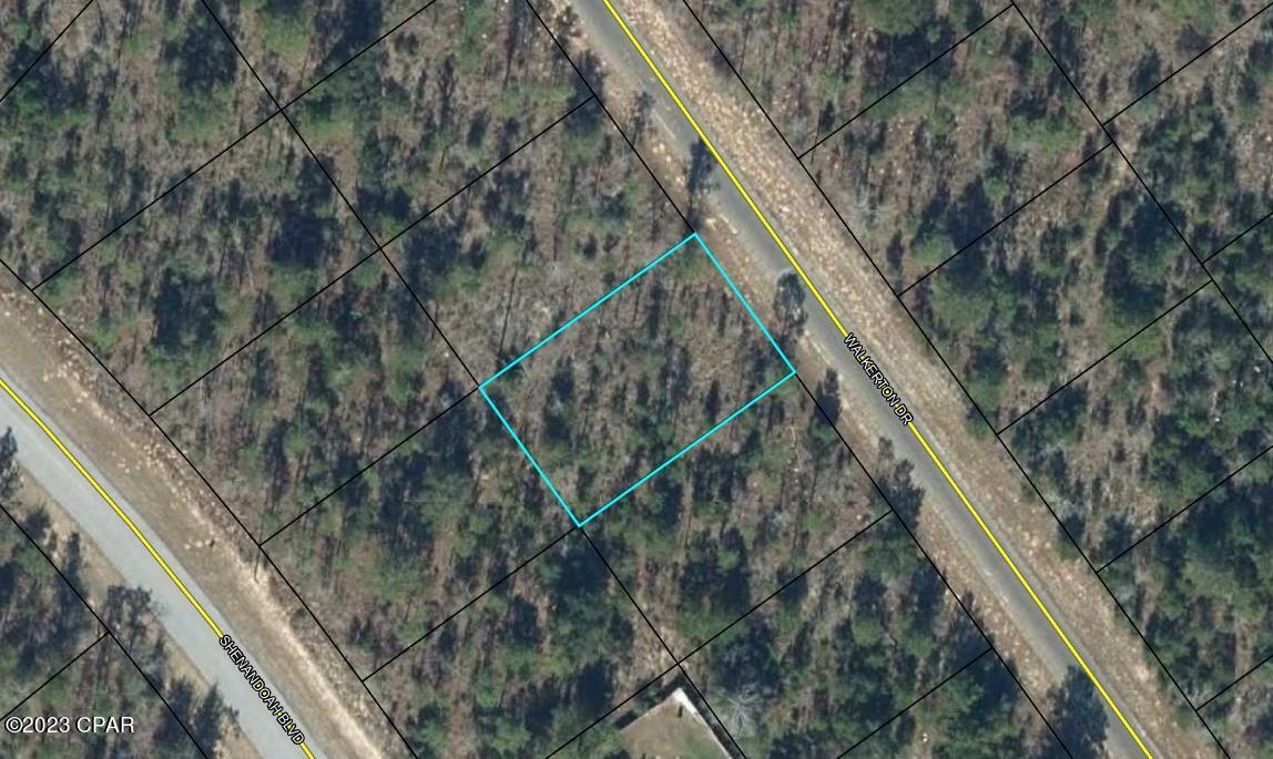 Vacant building lot in Sunny Hills. Sunny Hills is located just north of Panama City in Washington County. It is close to Hwy 77. 45 minutes to Panama City Beach and 35 minutes to the Panama City Beach Airport. It is deed restricted with no HOA's. Sunny Hills offers a golf course and many fishing locations. This community is growing fast with a lot of new construction. Go check it out today!

***Seller has other lots in Sunny Hills listed too***