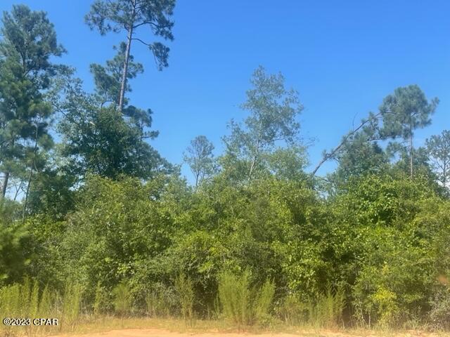 Compass Lake Hills Unit 3 - Land