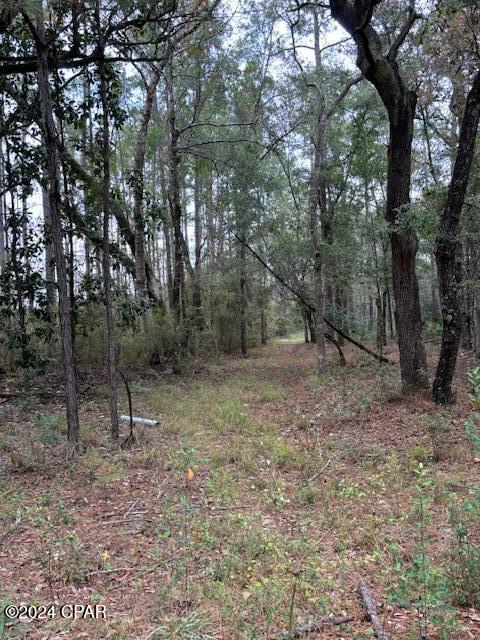 Beautiful Lake front lot on private lake, The Bluegill Lake aka The Black Hole which is a private lake that the lot fronts on. Spring fed lake is beautiful and has access to the Large Lucas Lake. the lots are nice and level, perfect to build a house on. Come check it out! Lot next to it is available as well,