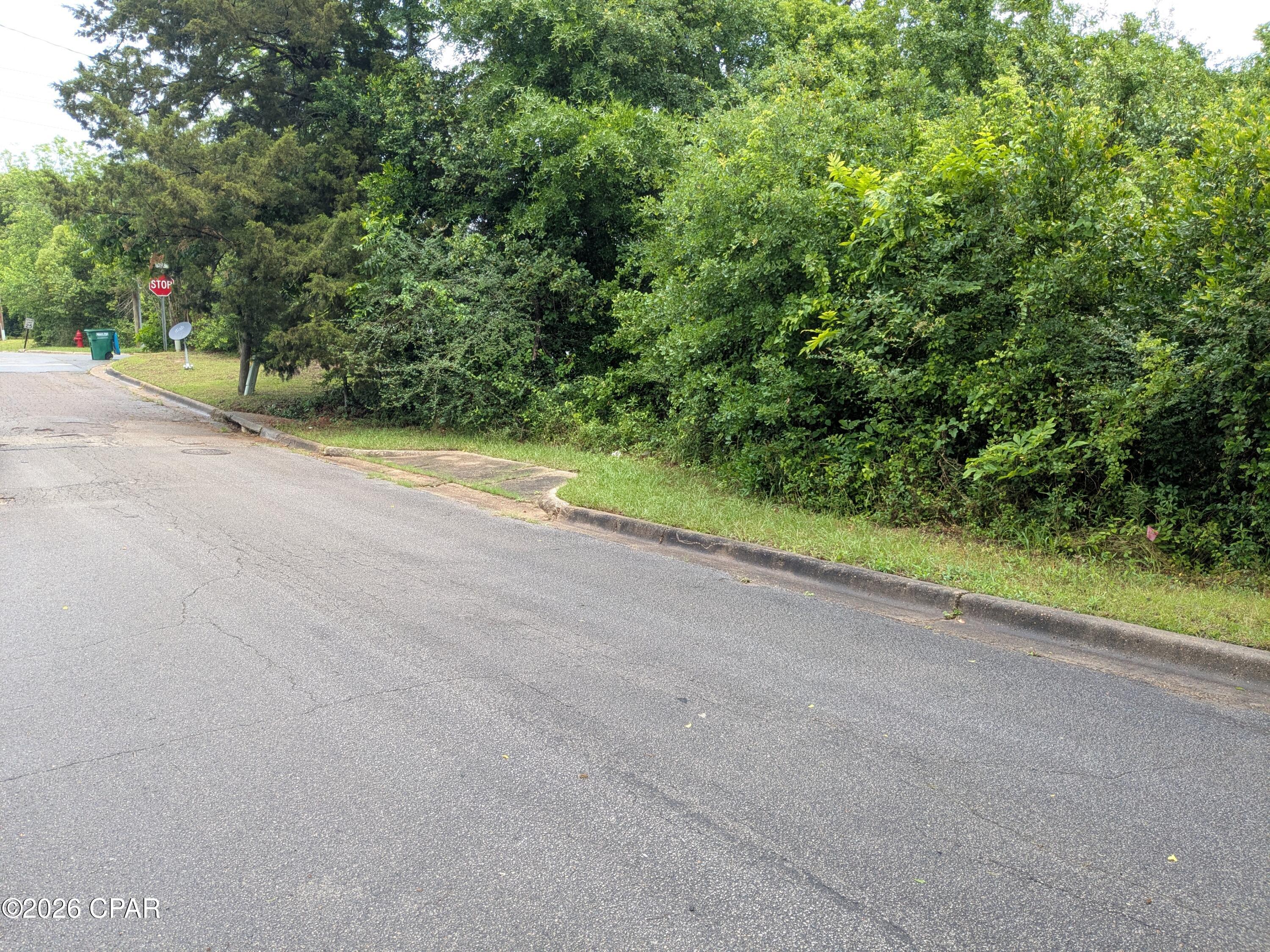Nice wooded lot on paved st in Marianna. City  
water and sewer available and could be a great lot to build on..