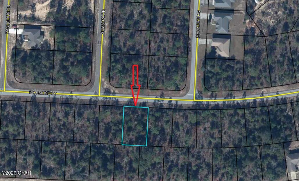 This high and dry lot on Richmond Street lot is the perfect blank canvas for your next project, featuring electricity already available, no HOA fees, and a desirable no flood zone designation. Nestled in the heart of the growing Sunny Hills community, this property offers an exceptional opportunity to build a custom dream home or a high-value investment property. The surrounding neighborhood is experiencing a significant surge in development, with beautiful new construction homes in the immediate area reaching values of up to $300,000, ensuring you are investing in a community with strong upward momentum.
Location is everything, and this property delivers on both tranquility and accessibility. You'll enjoy being just minutes away from local shopping and the best amenities Sunny Hills has to offer, including the renowned Sunny Hills Golf Club and pristine, spring-fed lakes like Boat Lake for weekend recreation. Whether you're looking for a quiet retreat or a strategic addition to your real estate portfolio, this lot provides the ideal combination of value and location.
For more information on how to secure this property, Call today!