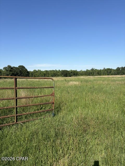 Over 18 acres of beautiful pastureland ready for horses, cattle, goats, and your dream home. This surveyed property offers the perfect blend of rural living and convenient access to nearby amenities. A well and power are already in place, saving you time and expense as you begin building. Located just minutes from Highway 2 with easy access to Highway 231, providing a direct route north to Dothan and south to the stunning beaches of Panama City. Bring your builder, your animals, and your vision--everything is in place to start your next chapter.