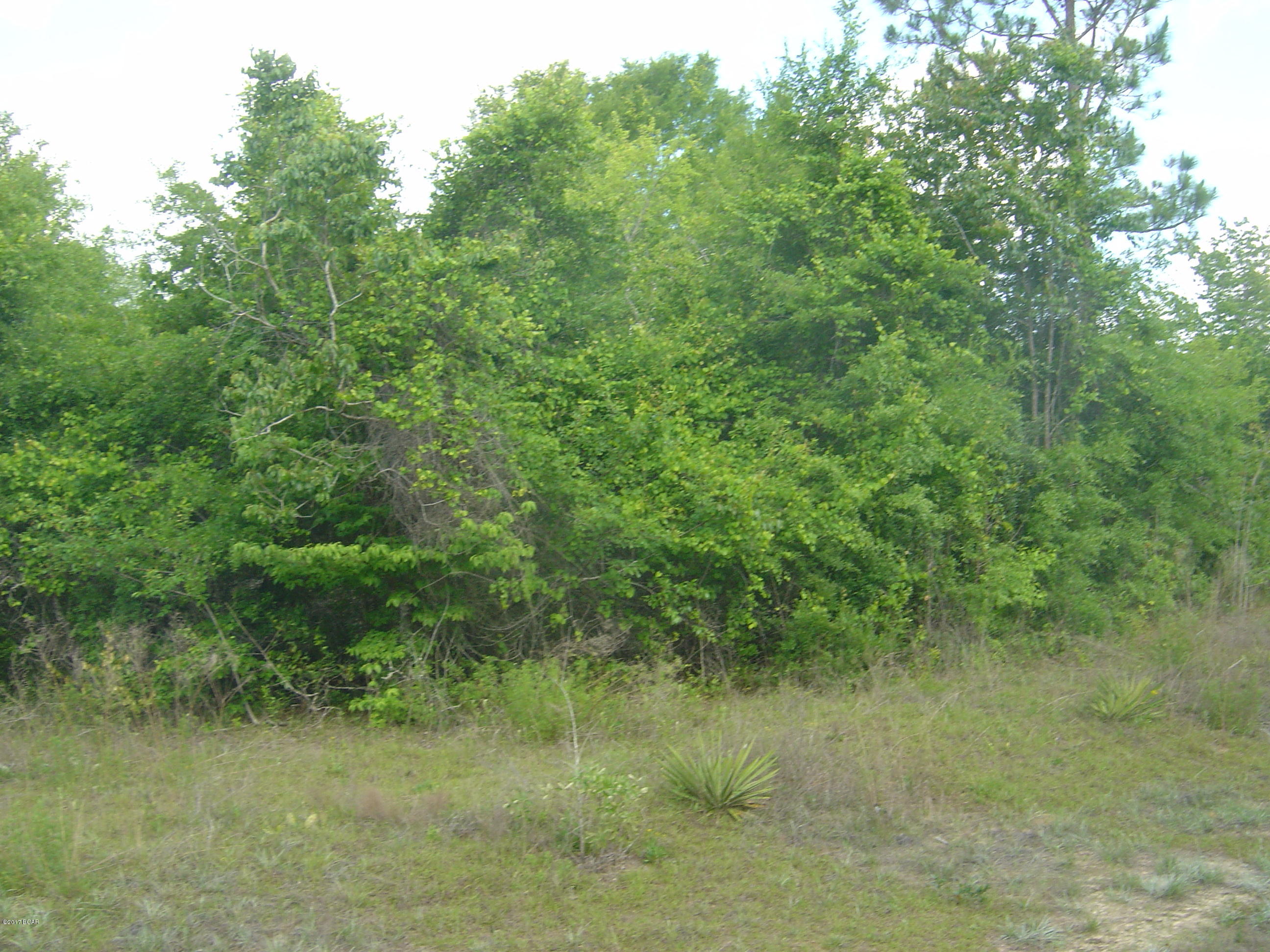 Compass Lake Hills Unit 2 - Land