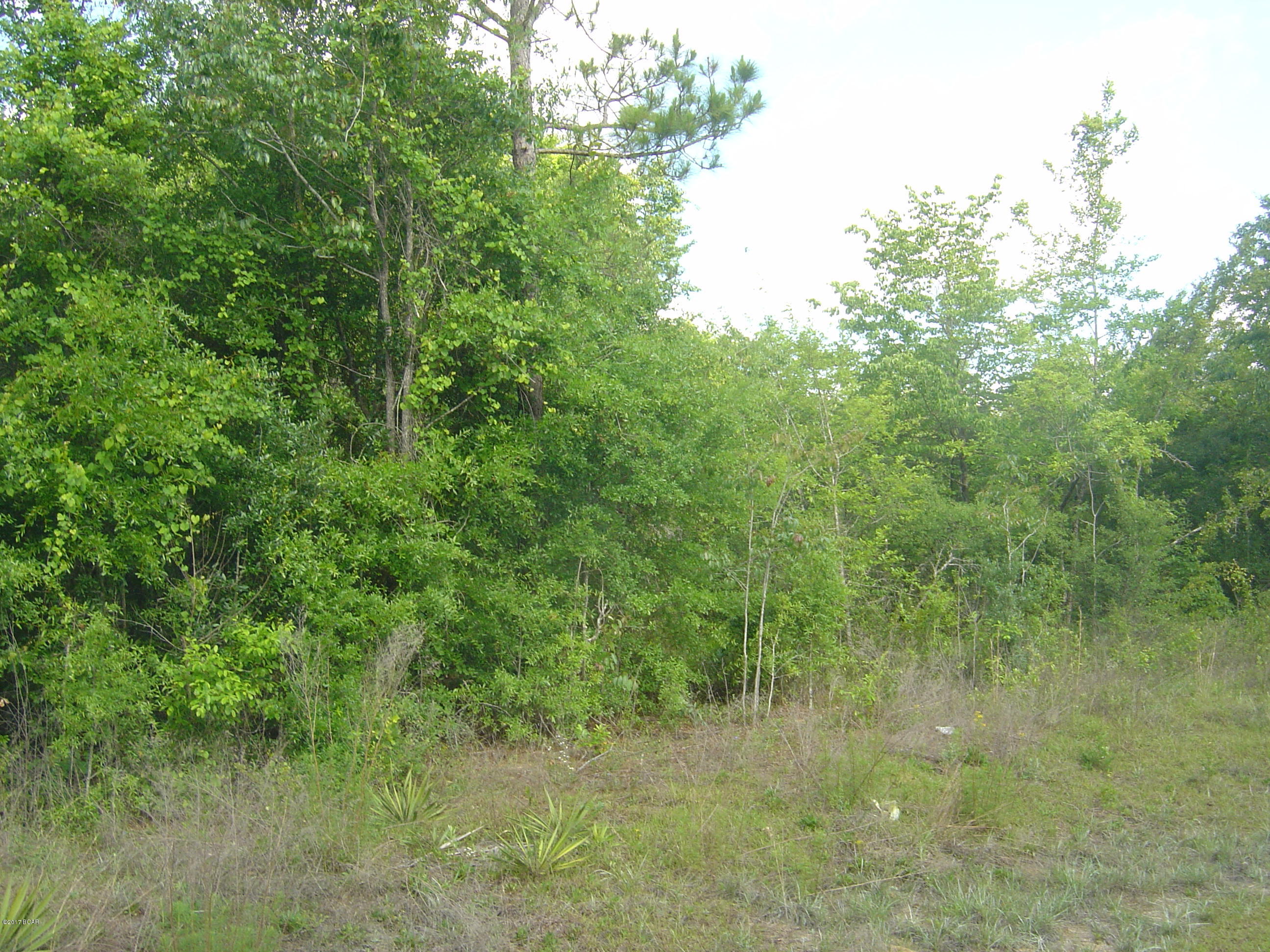 Compass Lake Hills Unit 2 - Land
