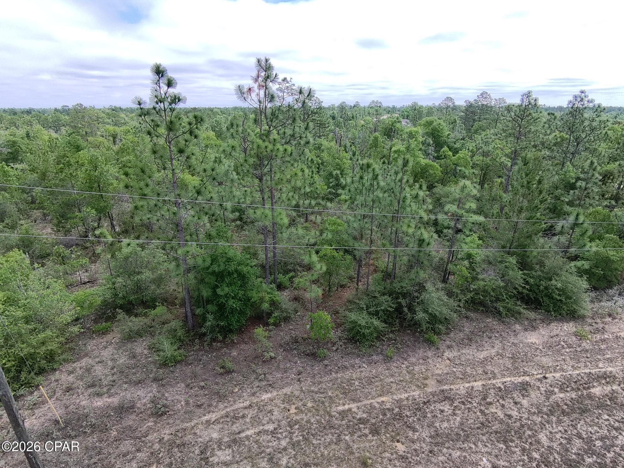 Excellent opportunity to own a .30 acre flat and level building lot in Unit 6 of Sunny Hills, located at Lot 8 on Trellis Drive. This homesite is situated in an area of newer constructions and existing homes. Private location with no other homes yet on the street but very close to the Elkcam Blvd entrance at highway 77. The lot offers a straightforward building footprint with level elevations, helping simplify site prep and construction planning. Whether you're a builder, investor, or future homeowner, this parcel presents an excellent opportunity for a beautiful and peaceful building site in SUNNY HILLS. Sunny Hills continues to attract buyers due to its convenient access to Highway 77, with Chipley to the north and Panama City and the Gulf Coast beaches to the south. If you're looking for a competitively priced investment in a booming Northwest Florida community, this lot deserves your attention. *** Listing agent has ownership interest in LOT being sold ***