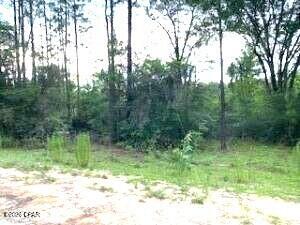 Compass Lake Hills Unit 3 - Land