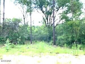 This is a lovely wooded lot in Compass Lake in the Hills.  Enjoy all kinds of wildlife in the area.  The lot is just right for building a house or placing a manufactured home on.  Enjoy good country living here.  This lot is south of Marianna for shopping and north of Panama City on the coast.