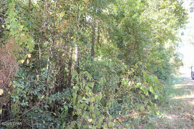 Other - Land