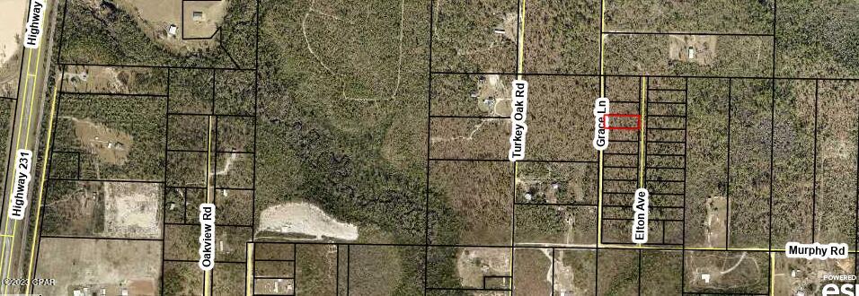 Looking for a prime location to build your dream home or start a new business? Look no further than this fantastic vacant lot, not in a flood zone, conveniently located near the intersection of Highway 231 and Highway 20. Zoned for agricultural and, from single family home to a campground, your options are endless!

In addition, the location is just minutes away from grocery stores, horse trails, and Econfina Springs. You are 30 minutes from Interstate 10 and 45 minutes from the famous white sandy beaches of Panama City Beach. Whether you're looking to build a family home or a commercial property, this is the ideal location to bring your vision to life.

Don't miss out on this incredible opportunity to own a piece of prime real estate in this highly sought-after location. Contact us today to schedule a viewing and take the first step towards your new dream project.