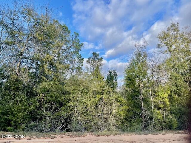 Nice wooded building lot in lovely Compass Lake Hills.  Enjoy nature at it's best here.  Lots of deer, turkey and various birds and butterflies!  Easy access south to Panama City on the coast and north to Marianna for shopping.  There is a non mandatory $135 fee for use of certain amenities  but free access to two beautiful lakes.
