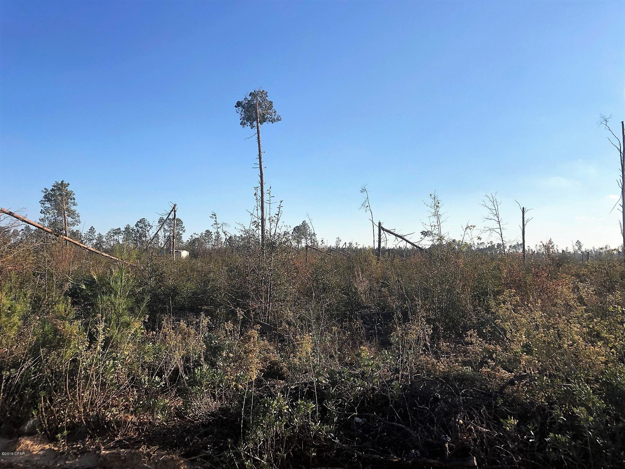 No Named Subdivision - Land