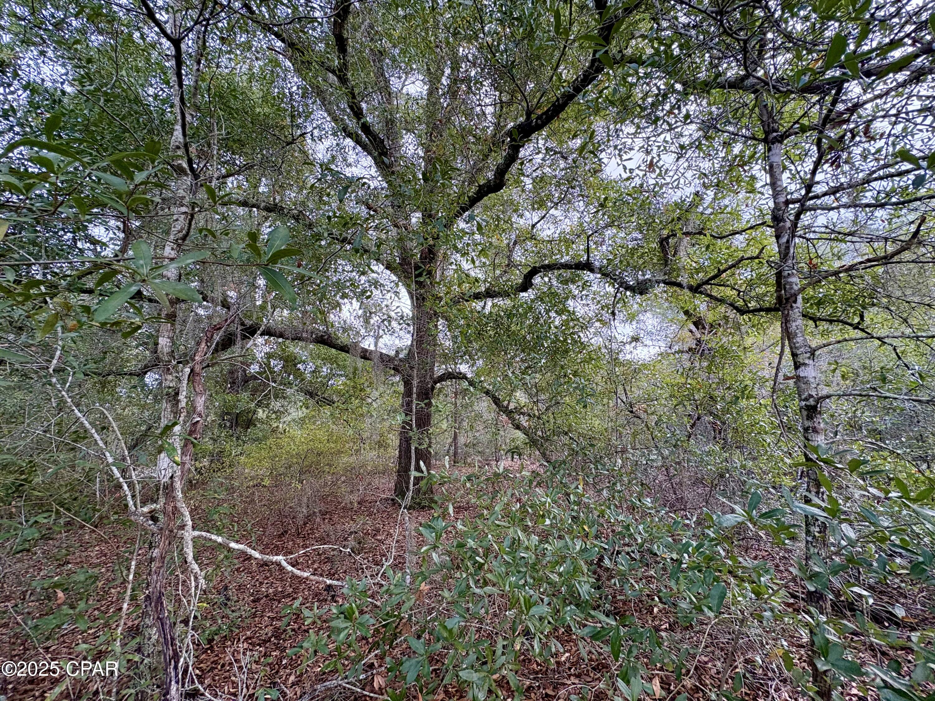 1.2+/- acre lot located just off of Hwy 231! Very convenient. Compass Lake in the Hills is a deed restricted subdivision located off of Highway 231 in Jackson County. A recent ordinance change of the restrictions allows for manufactured homes in the subdivision, opening up the possibilities beyond just building. For HOA members, the community features disk golf, a driving range, swimming pool, camping, waterfront restaurants, and multiple freshwater lakes, with the best one being Compass Lake. Compass Lake is a gorgeous spring-fed lake that is loved for boating, fishing, and water-skiing. On McCormick Lake there are two beach areas with water toys, a clubhouse, and two covered pavilions available for rent. McCormick Lake is an exclusive facility only available to members and their guests. There are fishing boats, fun yaks, and a beautiful beach on a serene lake. No gasoline engines are allowed on that lake, but boats with electric motors are. Enjoy the slower pace of life this community offers while being less than an hour from Panama City Beach! Buyer to pay for owner's title policy/title fees.