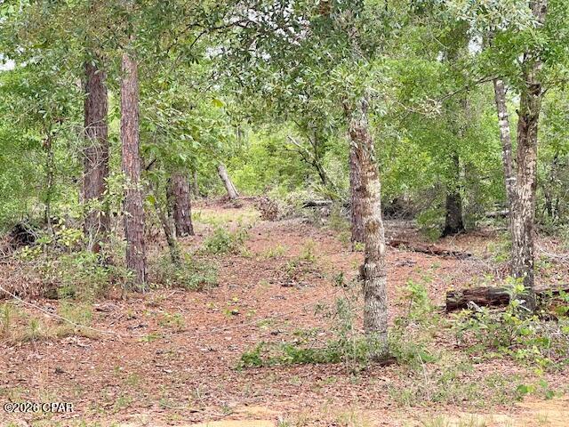 Almost 2 acre lot located in beautiful Compass Lake Hills between Marianna and Panama City, Florida.  If you enjoy country living with an abundance of wildlife nearby, see this lot.  
There is a cable at front of lot.  Walk around it to see interior of  lot. The location has easy access to the north to Marianna for shopping and south to Panama City located on the Gulf,  COPY OF SURVEY IN FILE.
