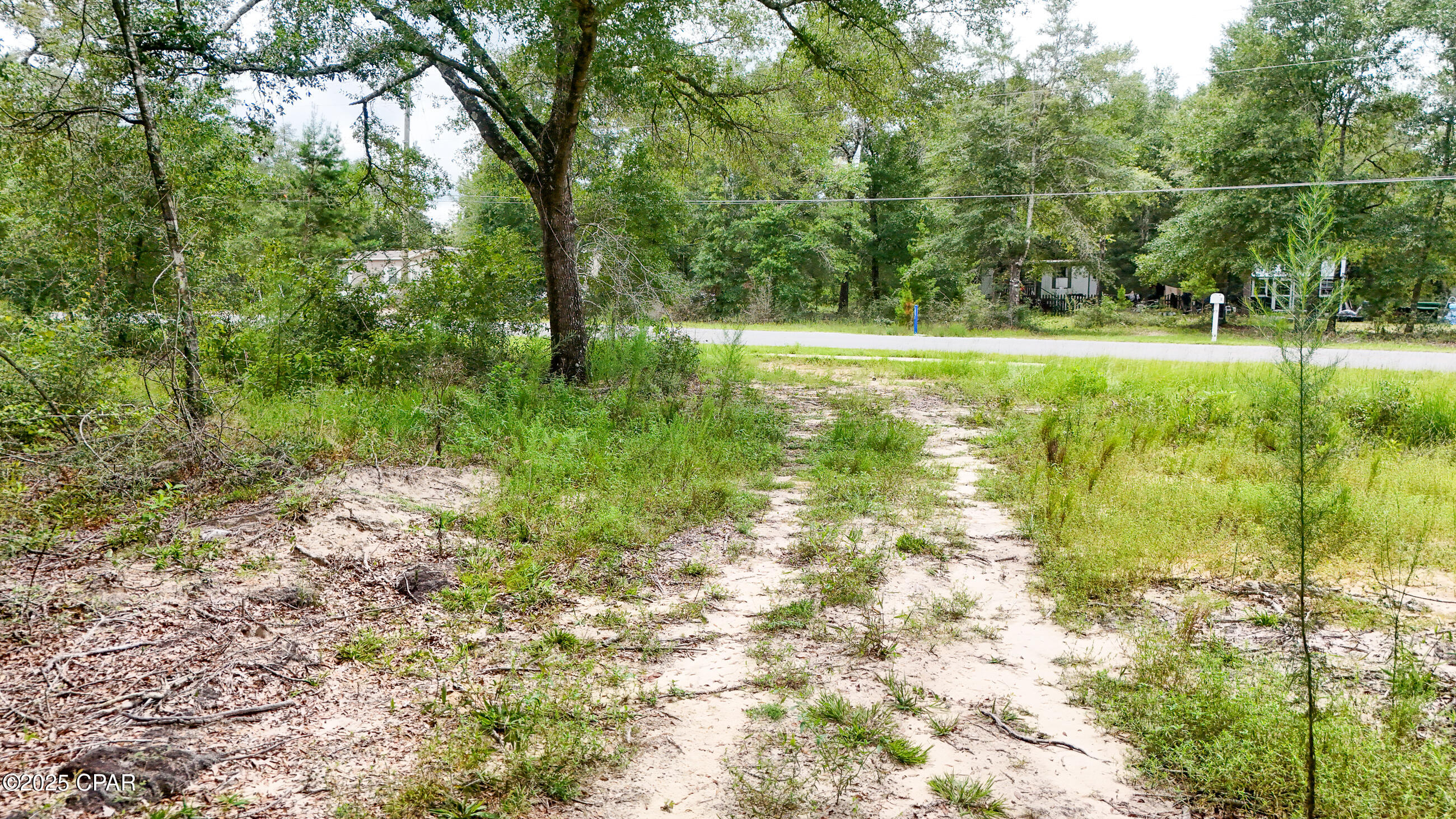 Other - Land