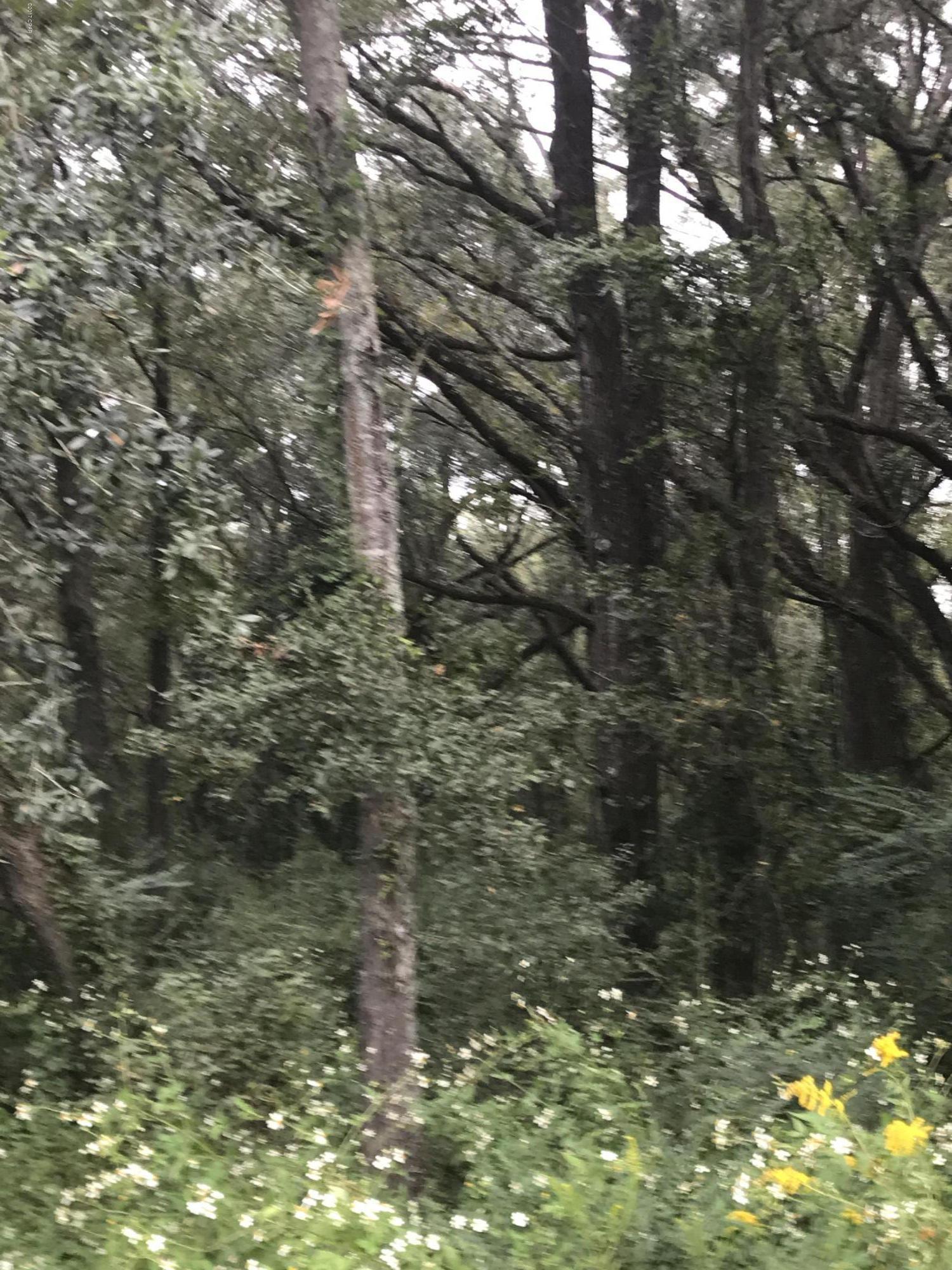 Beautiful 9 acre parcel for your future homesite on State Park Road in the Falling Waters area of Chipley