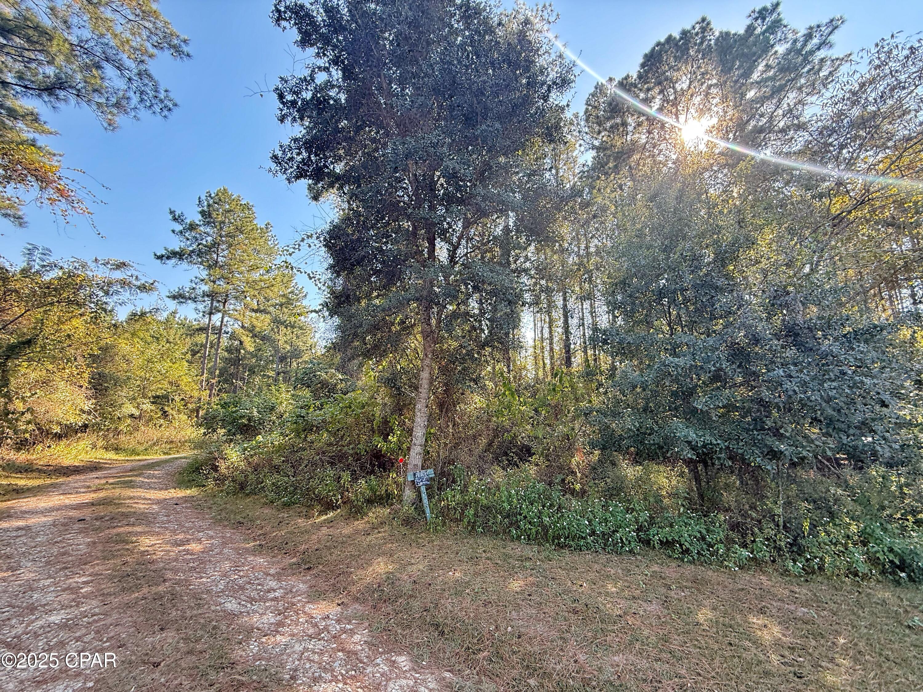 Escape to your own private retreat on this beautiful 5-acre wooded parcel featuring towering pines and natural Florida growth. As you drive in, you'll be greeted by a peaceful setting surrounded by well-maintained homes along the way, creating a welcoming rural atmosphere. Conveniently located just off paved River Road and only minutes from Lake Seminole, where world-class bass fishing awaits! Whether you envision a site-built home or a mobile home, this property offers the freedom to design your perfect getaway. Enjoy the best of both worlds--a quiet, secluded setting with the convenience of town just a short drive away.