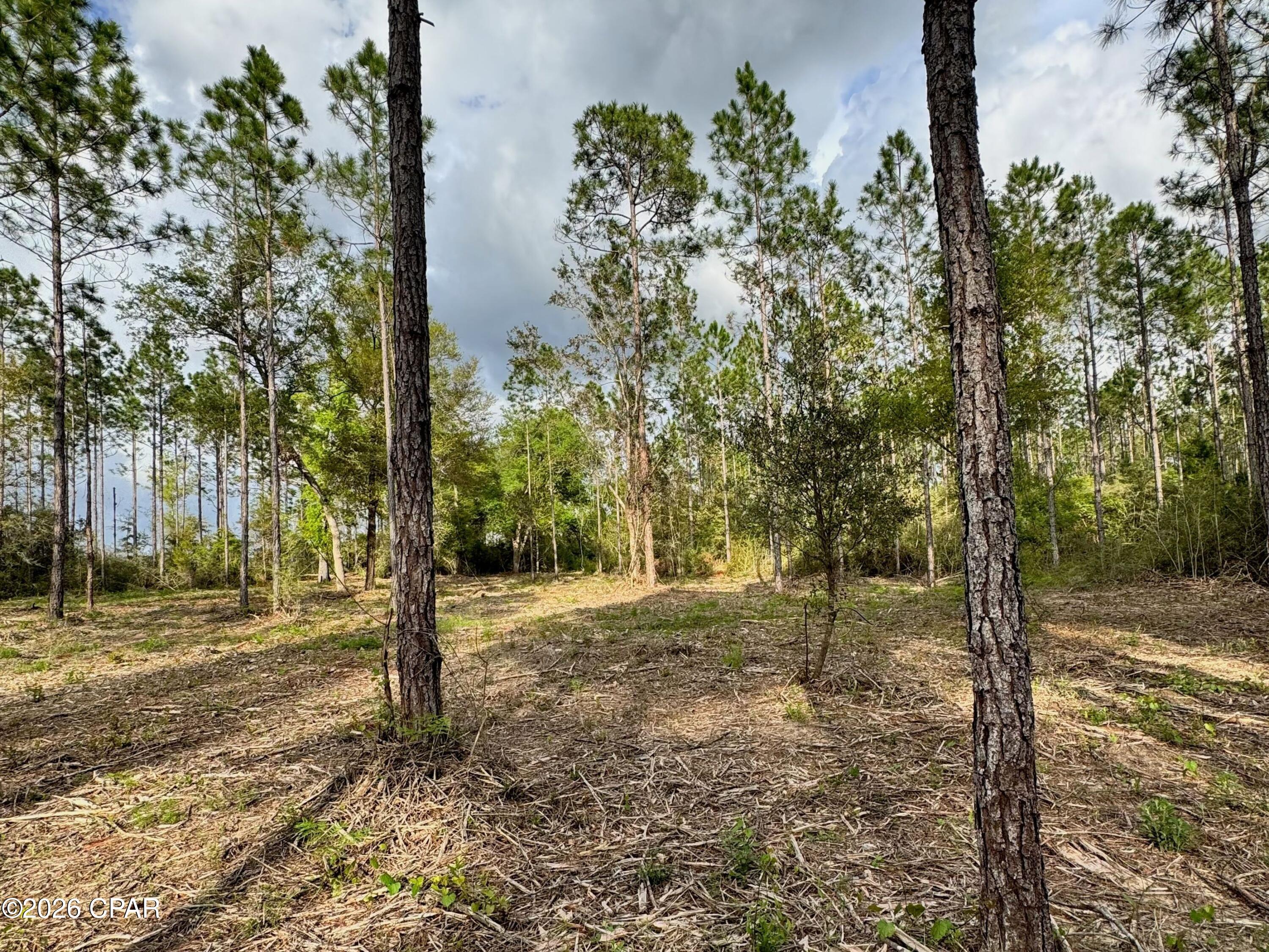 Tucked away in Pleasant Hill Woods, a quiet, emerging community of estate-sized parcels, Lot 9 offers nearly 15 acres of peaceful Northwest Florida landscape with the rare addition of a natural creek running through the property. Partially cleared with a driveway base already in place, the groundwork has been thoughtfully started, allowing you to begin shaping your vision right away.

Surrounded by similarly sized homesites and free from HOA restrictions, this property strikes a balance between privacy and long-term potential. With convenient access south via Highway 79, the beaches of the Emerald Coast are within reach in about an hour.

Whether you're envisioning a private homestead, recreational retreat, or future investment, this is an opportunity to secure land in an up-and-coming area while it's still under the radar.