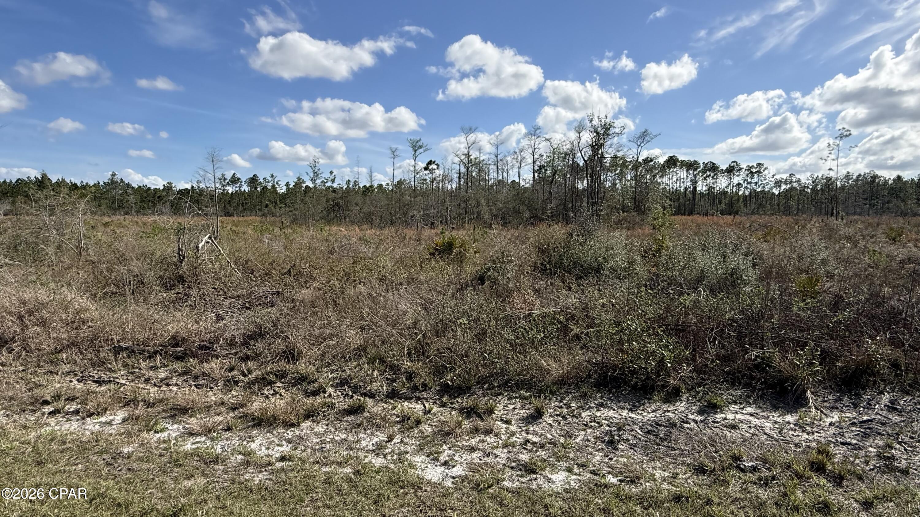 Introducing a prime investment opportunity at Martin Sewell Road, Altha, FL, 32421. This AG-zoned property offers a multitude of possibilities for land and residential development. Whether envisioning a residential community, agricultural endeavor, or private estate, this versatile property offers ample space and potential. Take advantage of the serene surroundings and favorable zoning to create a unique and lucrative venture in this desirable location. With a prime location and diverse potential, this property is poised to fulfill a range of investment objectives.