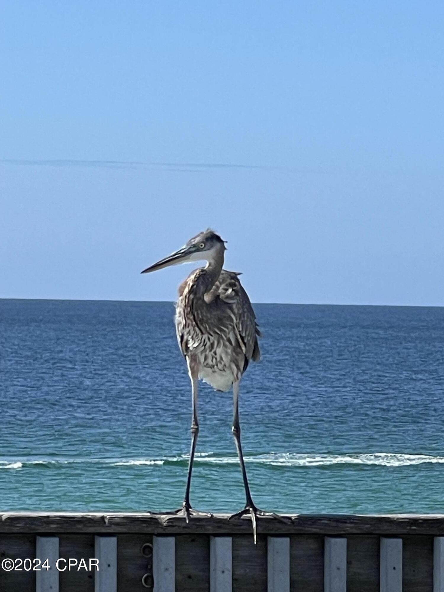 Horizon South Townhouses - Residential